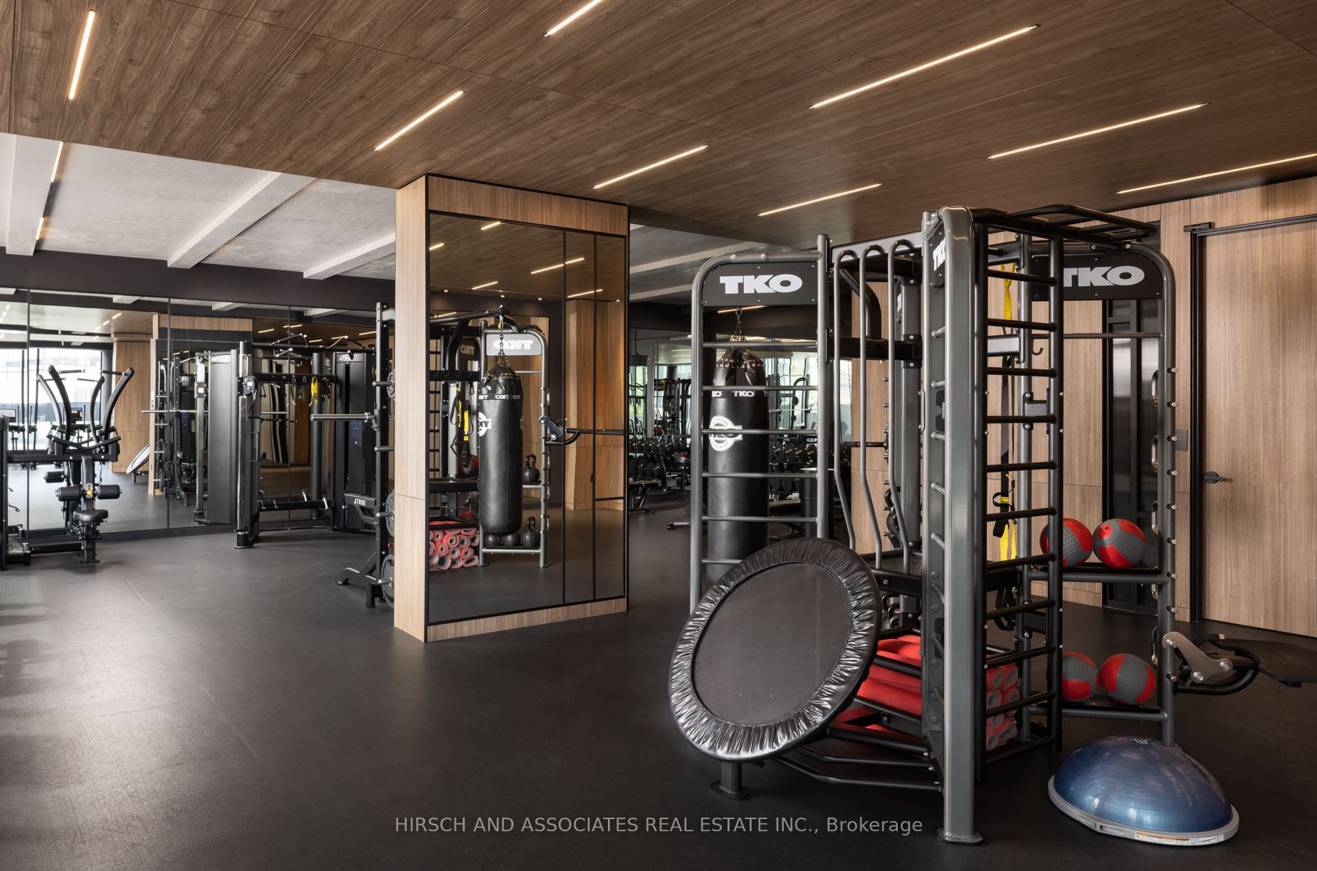 55 Charles Street E 1103