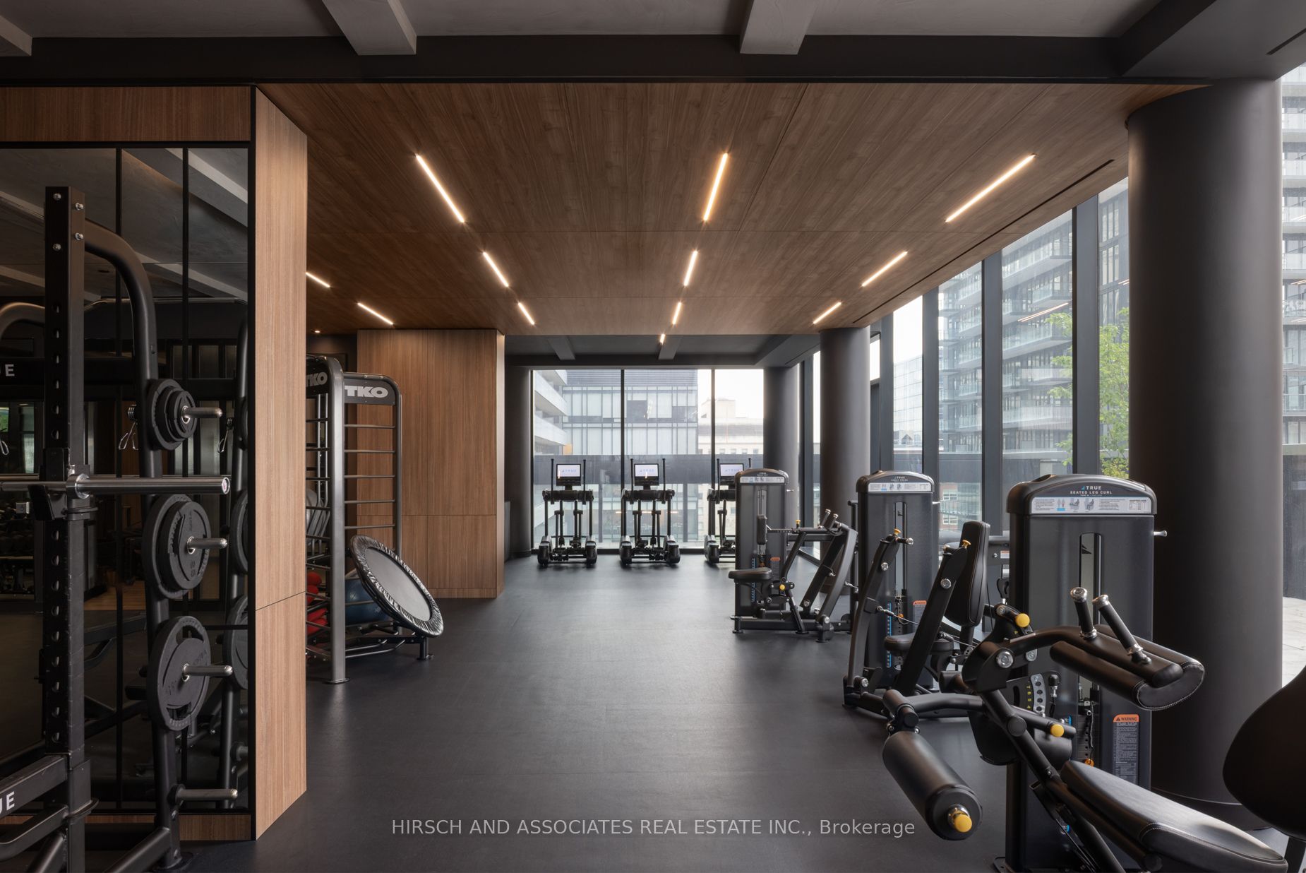 55 Charles Street E 1103