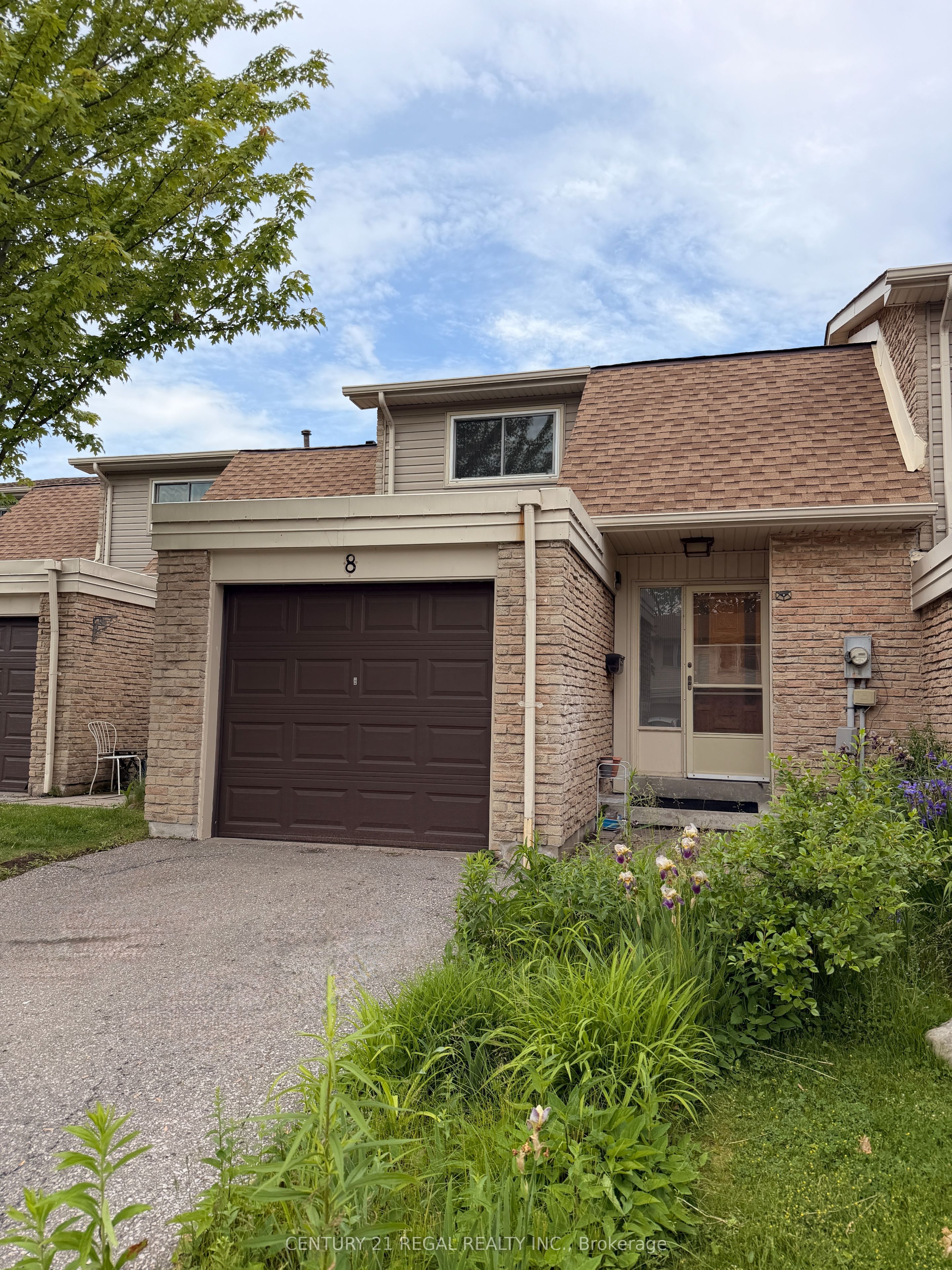 8 Chamberlain Court