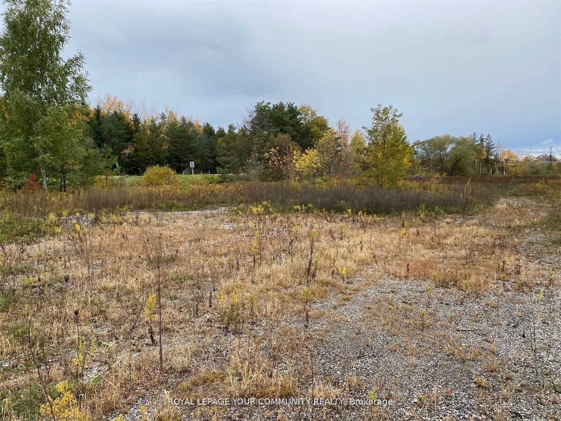 5360 Mount Albert Road