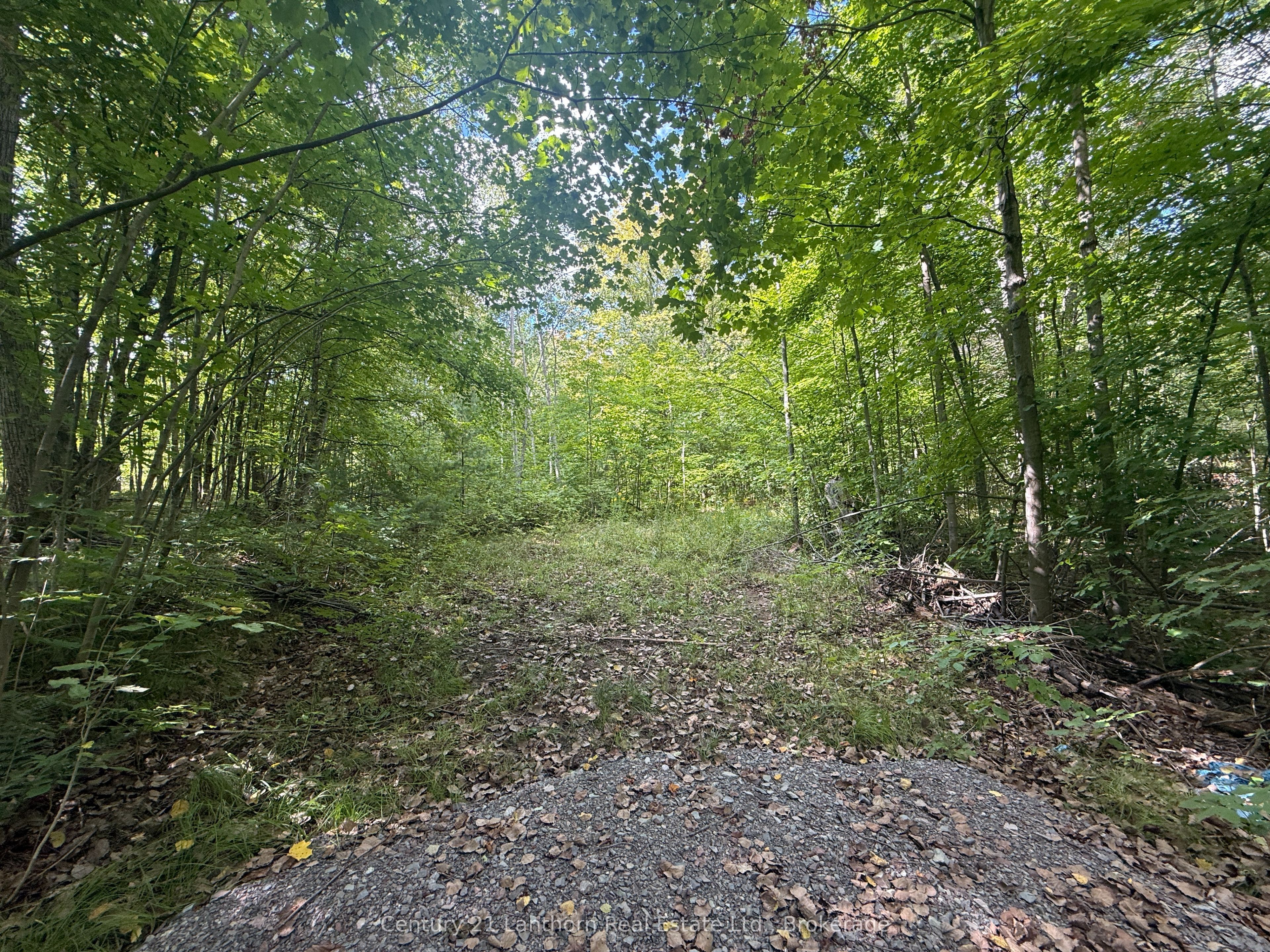 00 South Lot Highway 62 N/A