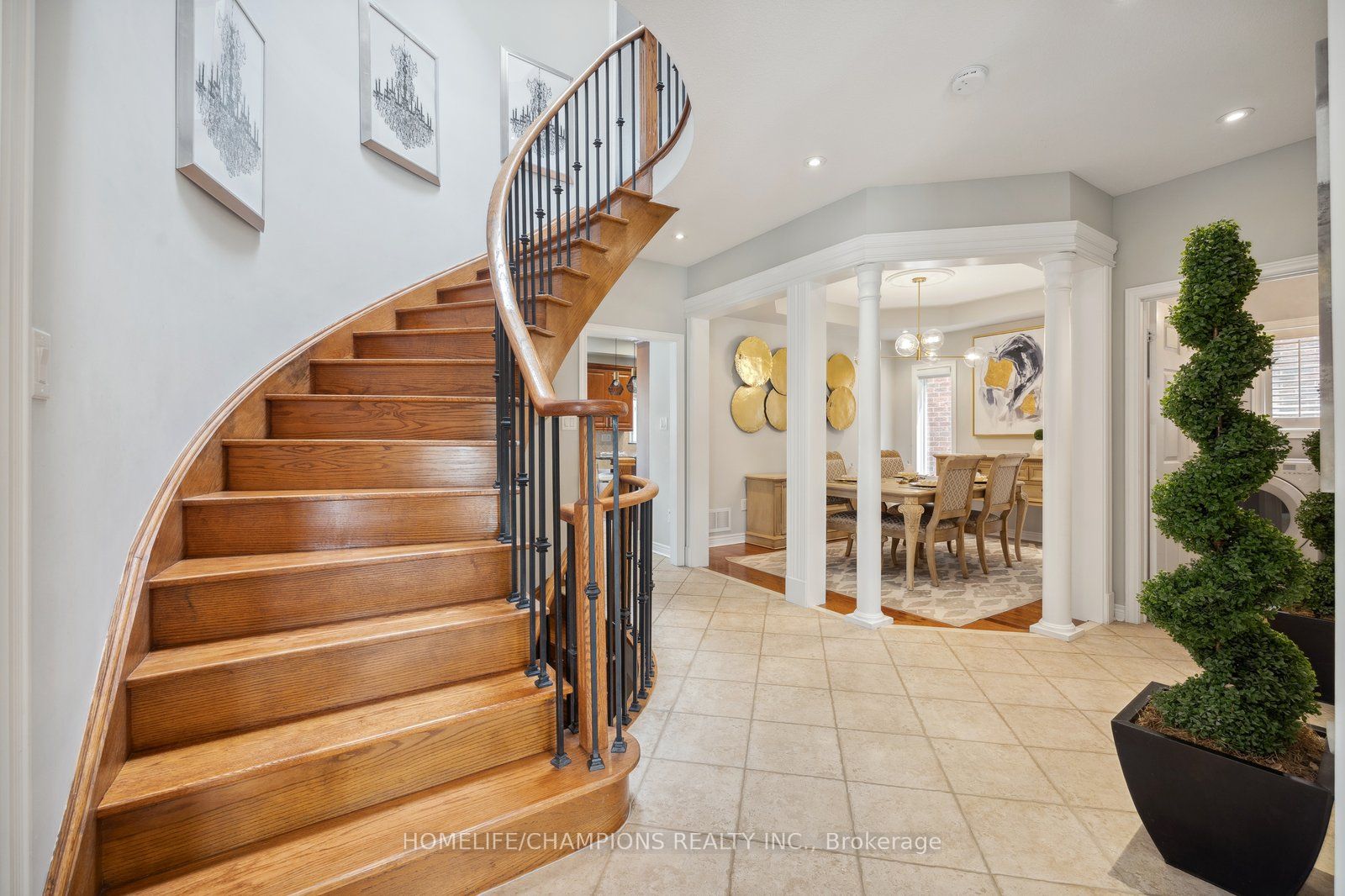 12 Driscoll Drive