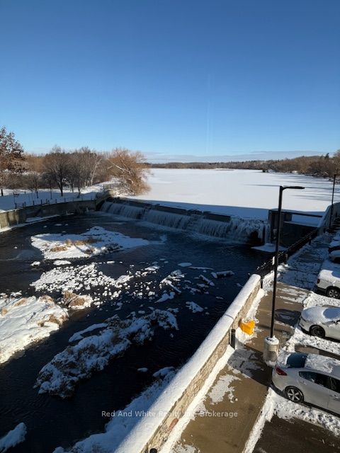 19 GUELPH Avenue 308