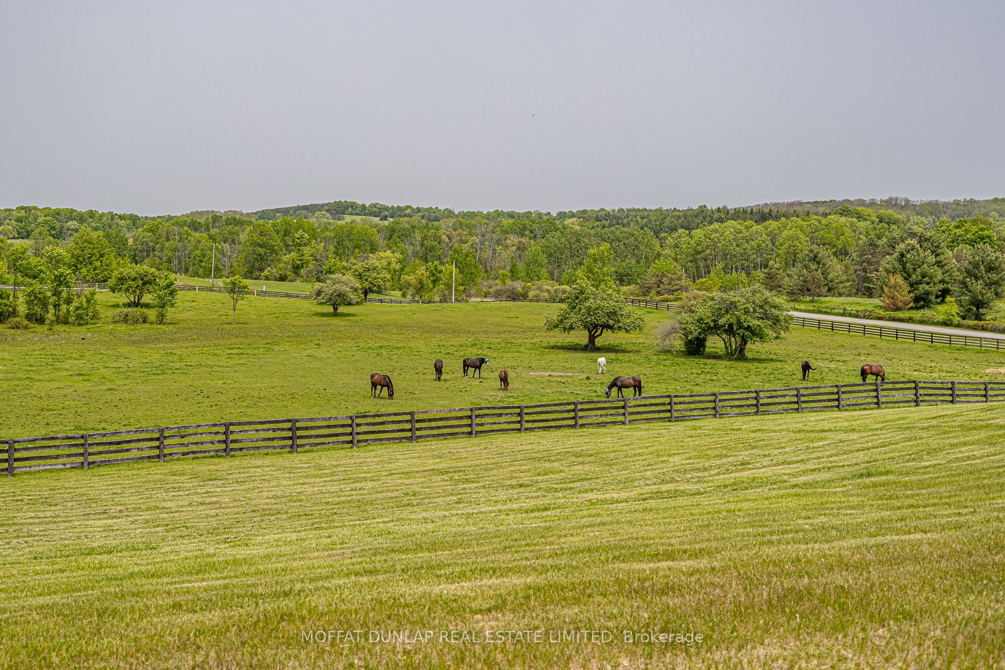 2105-2065 19th Side Road