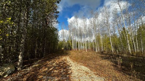 LT69-70 Isabella Street South Bruce Peninsula ON N0H 2T0