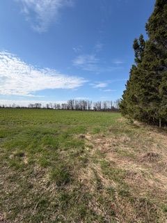 501426 Grey 1 Road