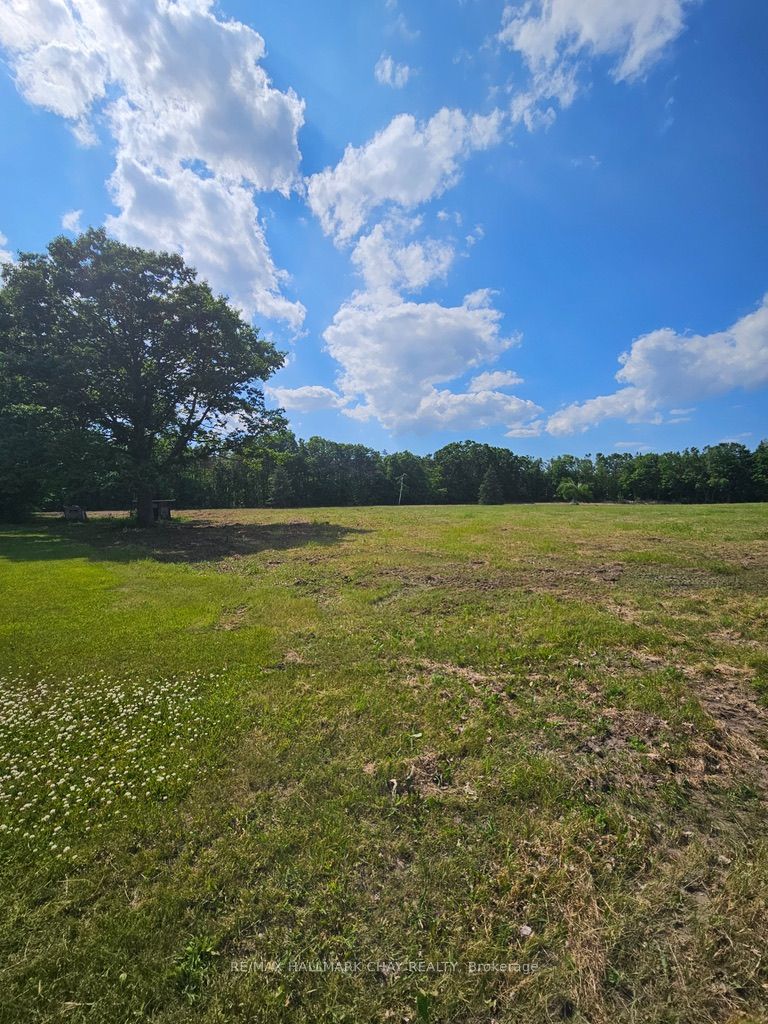 3450 20th Side Road