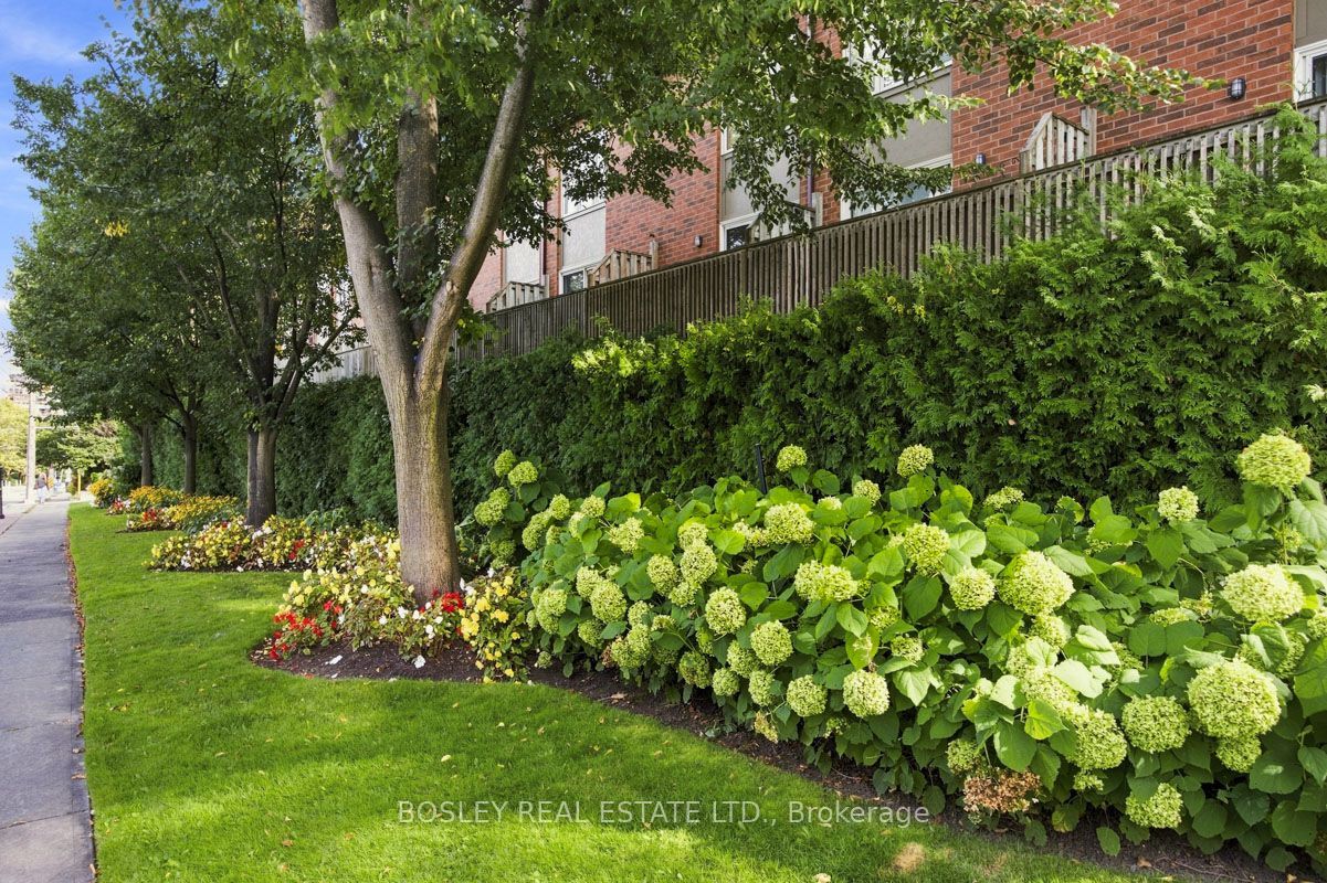 64 Old Mill Terrace 3