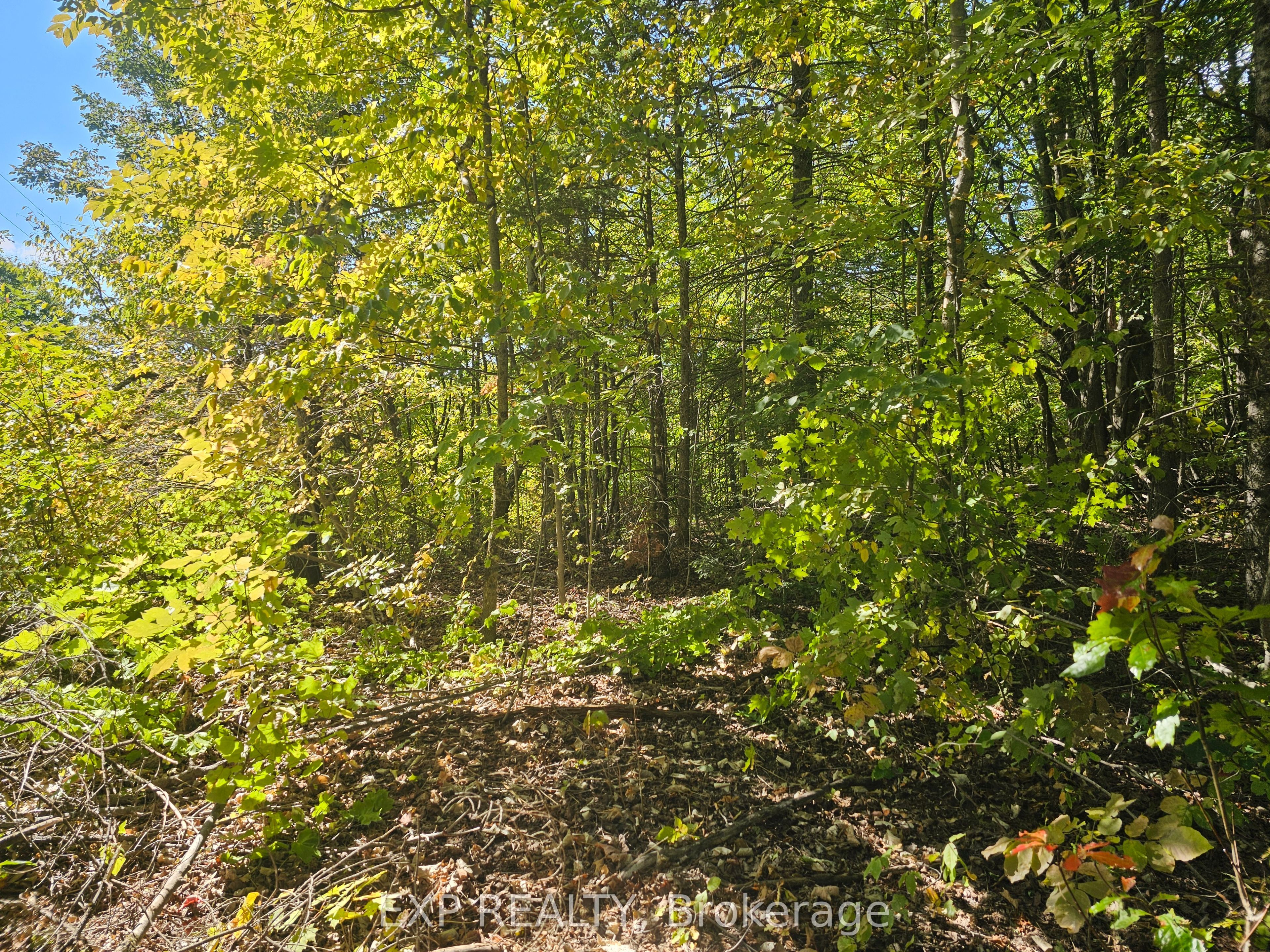 Part Lot 32 and 33 Part 2 Conc 1 Concession