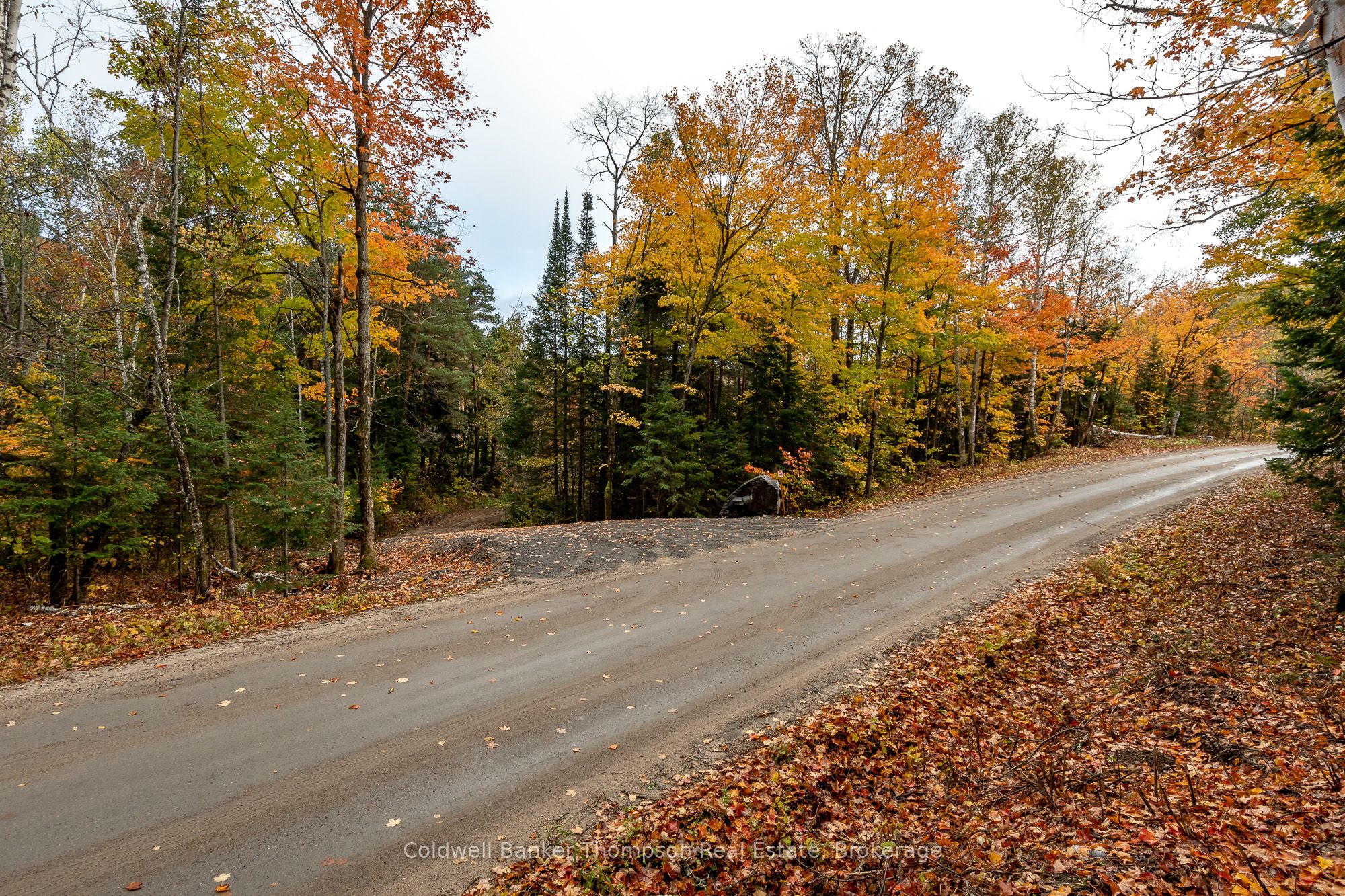 Lot 1 Emsdale Lake Road