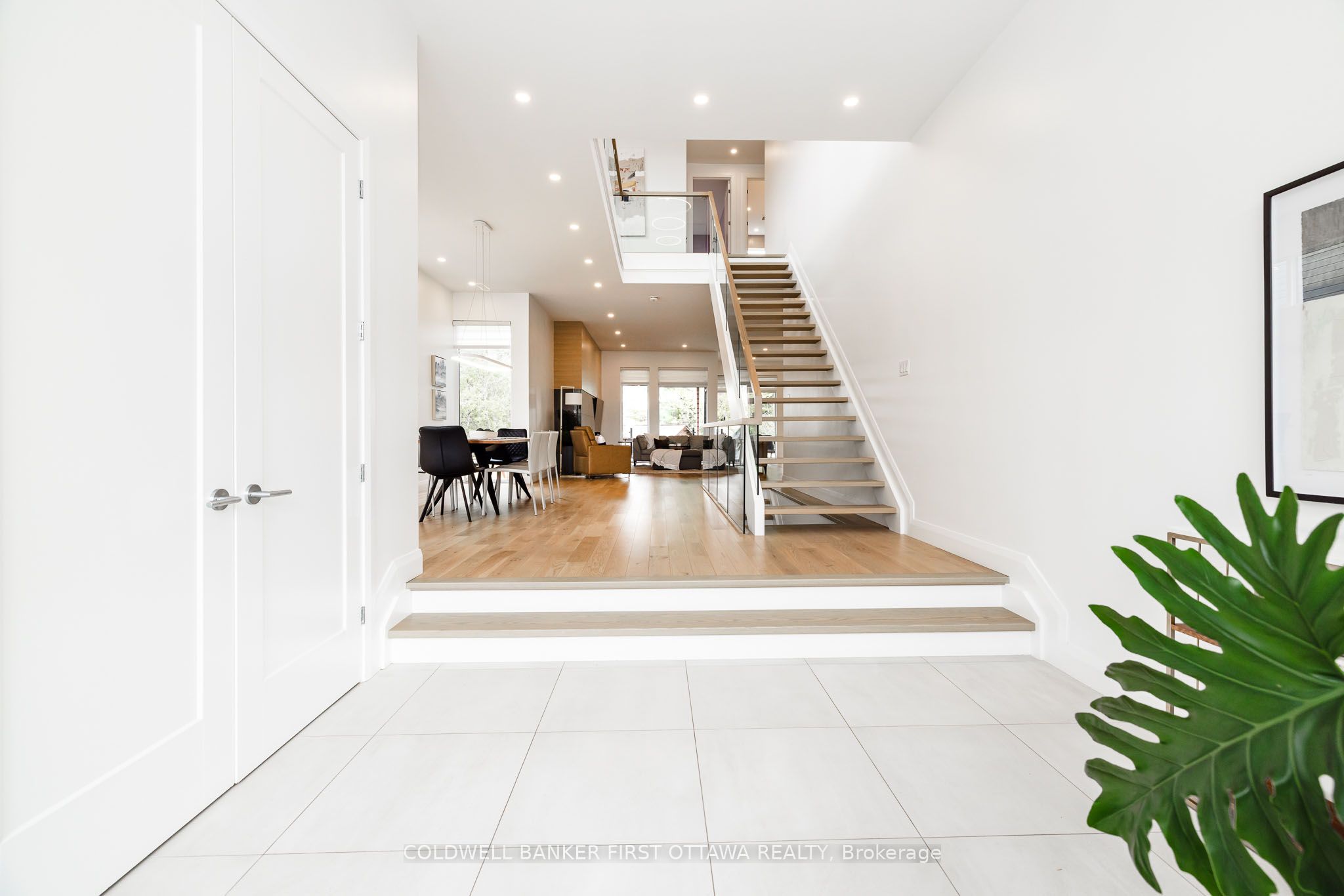 11A Carleton Cathcart Street