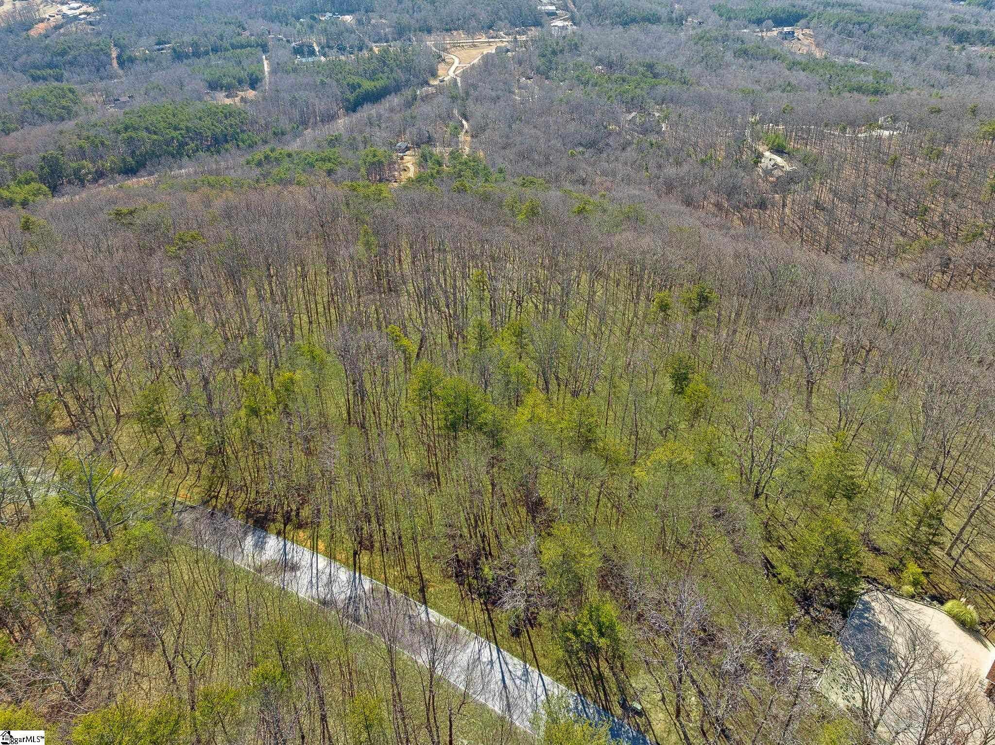 18 Granite Knob Way, Landrum, South Carolina image 15