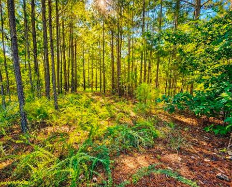 Vacant Land For Sale - 406 Terrapin Pointe Road<br/> Greenwood County, Hodges, SC 29563