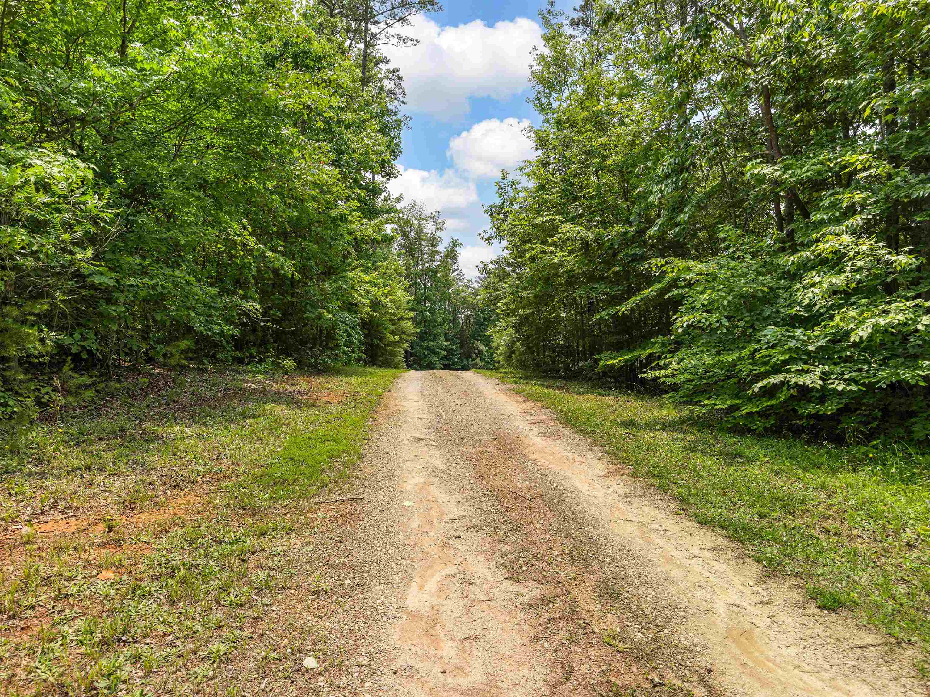 269 Walnut Hill Farm Road, Gaffney, South Carolina image 3