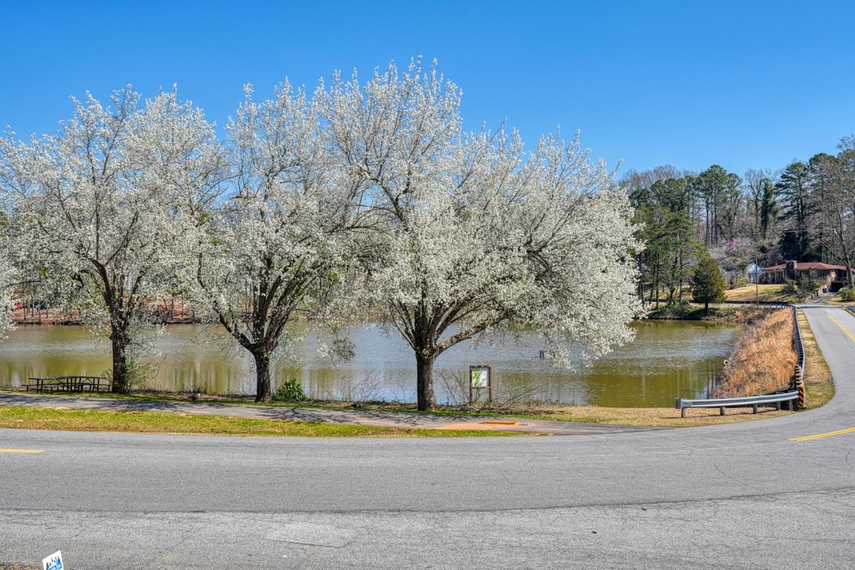 250 W Park Drive, Spartanburg, South Carolina image 37
