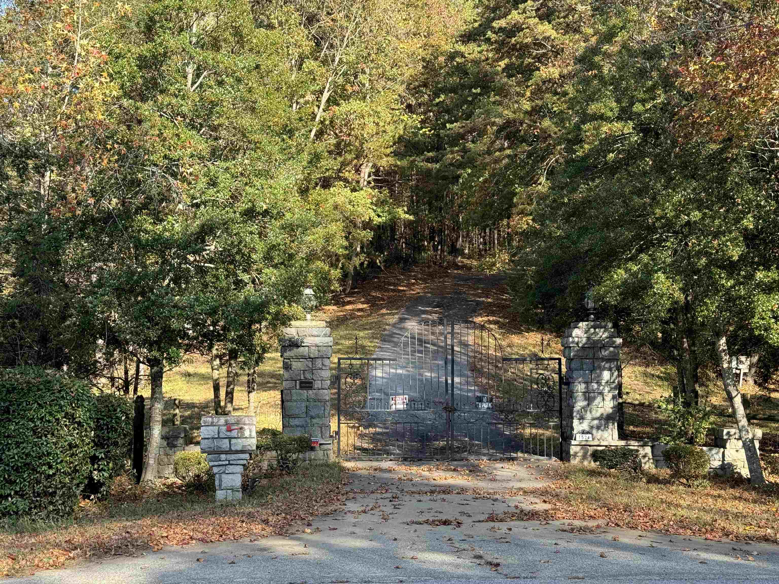 1524 Highway 11 Highway, Landrum, South Carolina image 34