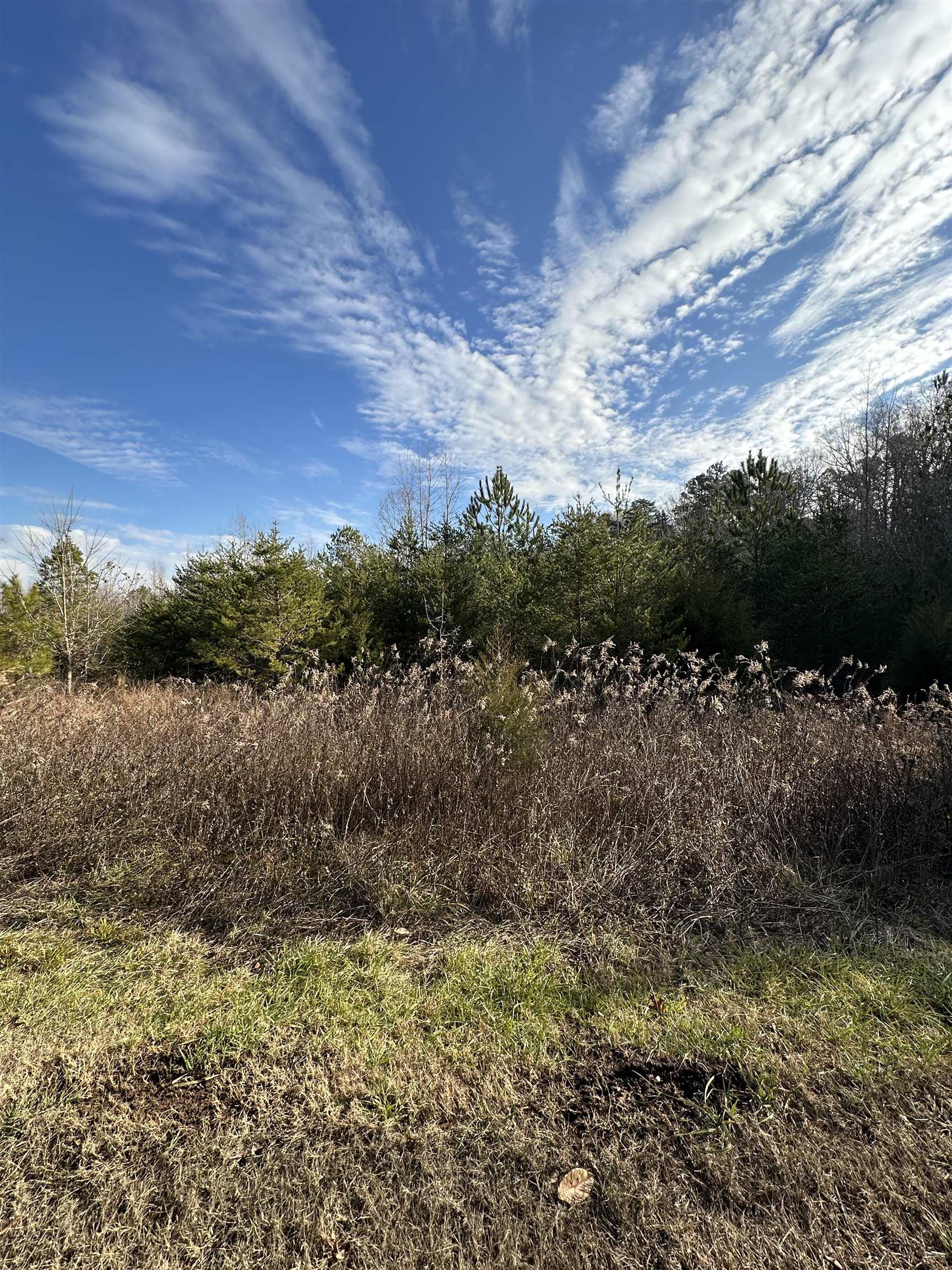 390 Sherrill Dr, Blacksburg, South Carolina image 47