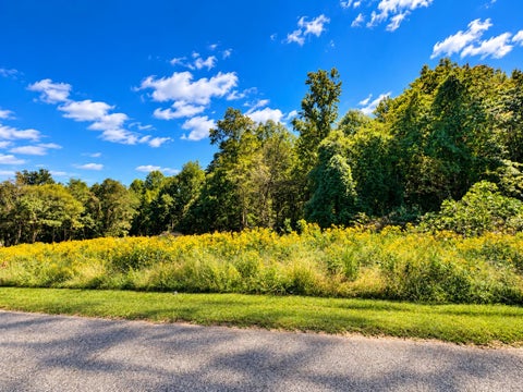Vacant Land For Sale - 528 Wilkins Ford Road<br/> Inman, SC 29349
