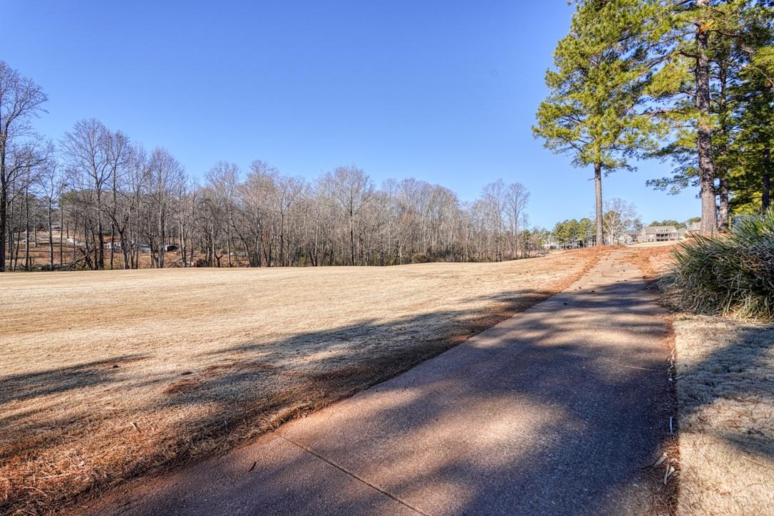 336 S Woodfin Ridge Drive, Inman, South Carolina image 43