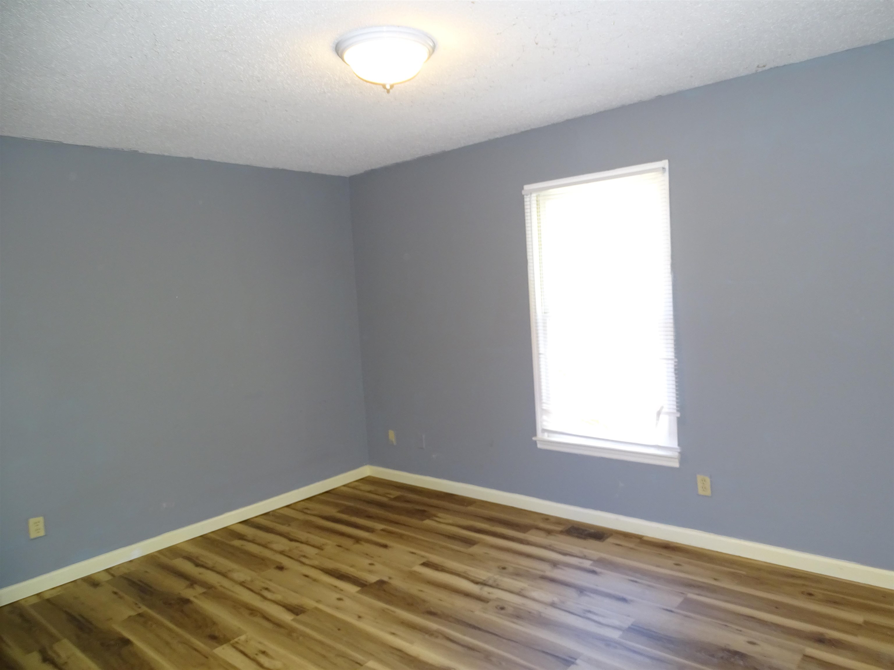 101 N Celestial Drive, Greer, South Carolina image 15