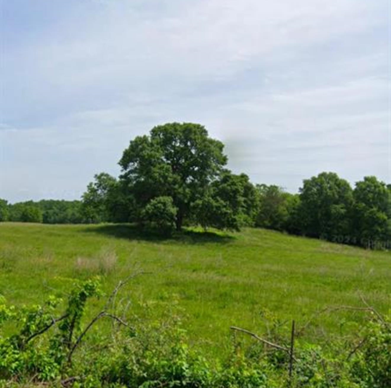 Carolina Ridge Road Lot 11, Gaffney, South Carolina image 3