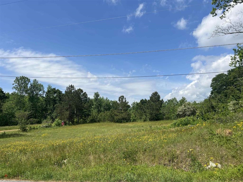 498 Biblebrook Drive, Greer, South Carolina image 1