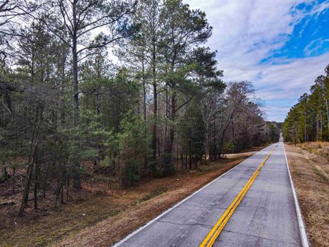 Vacant Land For Sale - 3062 Berry Farm Road Rd<br/> Union County, Carlisle, SC 29031