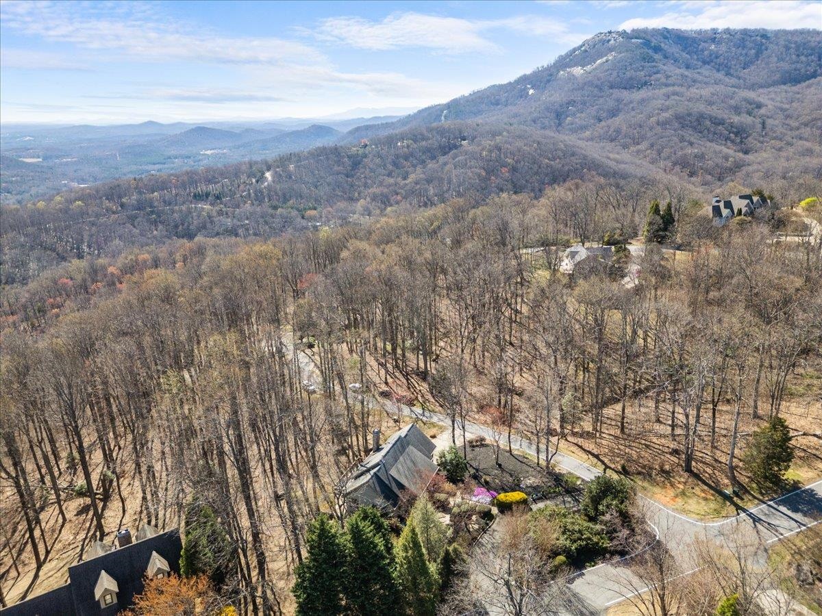 3 Rocky Gap Court, Landrum, South Carolina image 29
