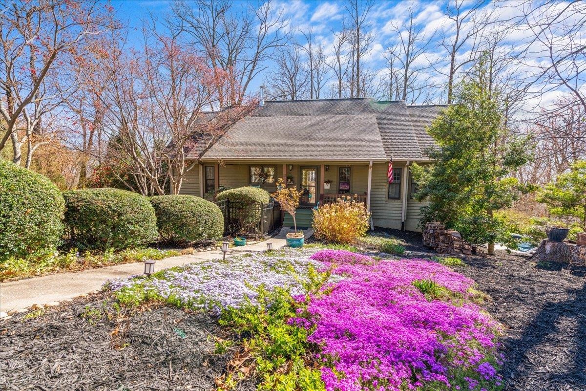 3 Rocky Gap Court, Landrum, South Carolina image 1
