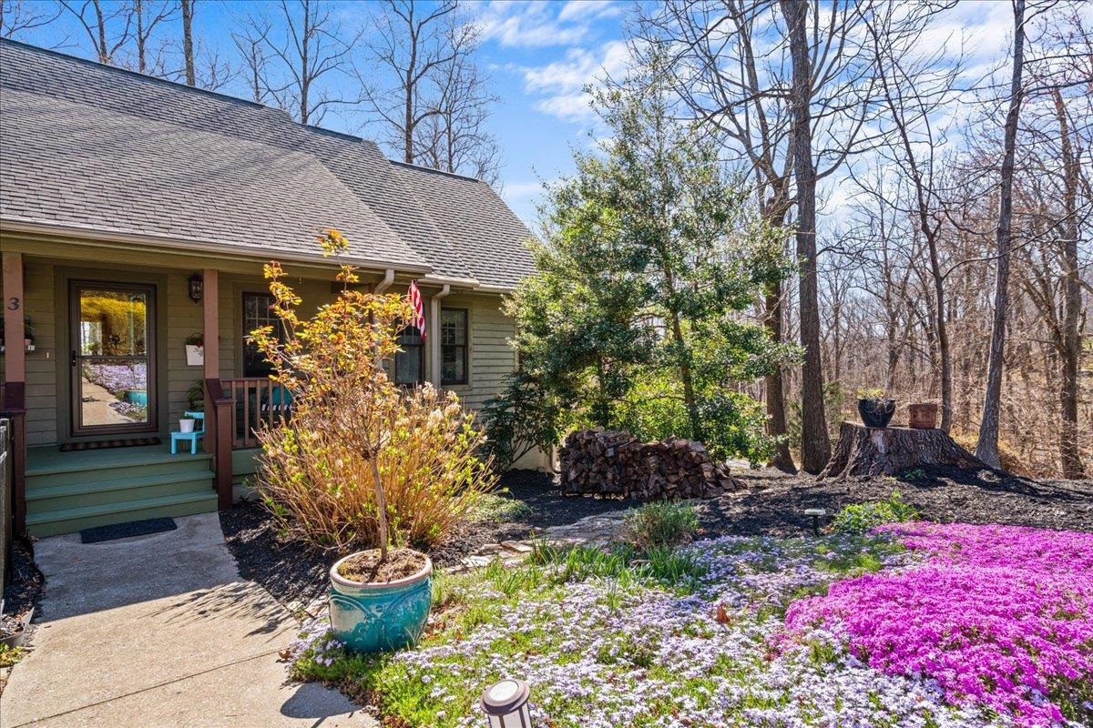 3 Rocky Gap Court, Landrum, South Carolina image 4