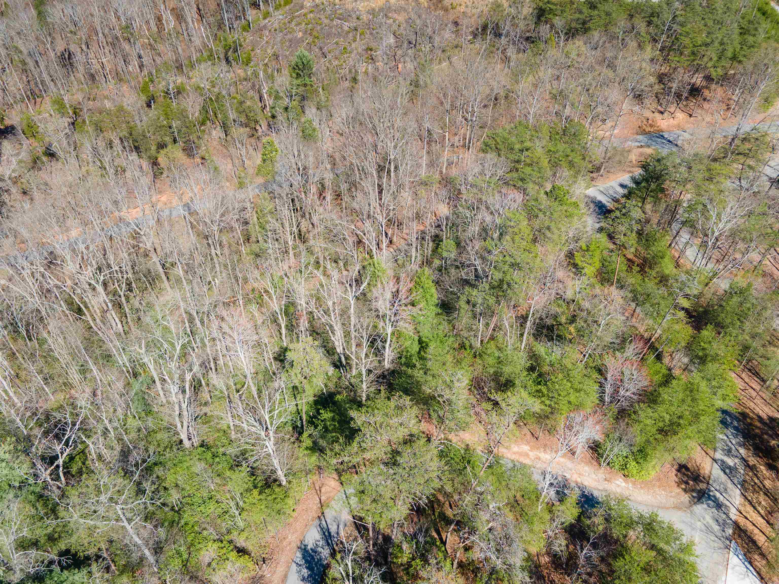 126 Kellerman Point, Lake Lure, North Carolina image 6