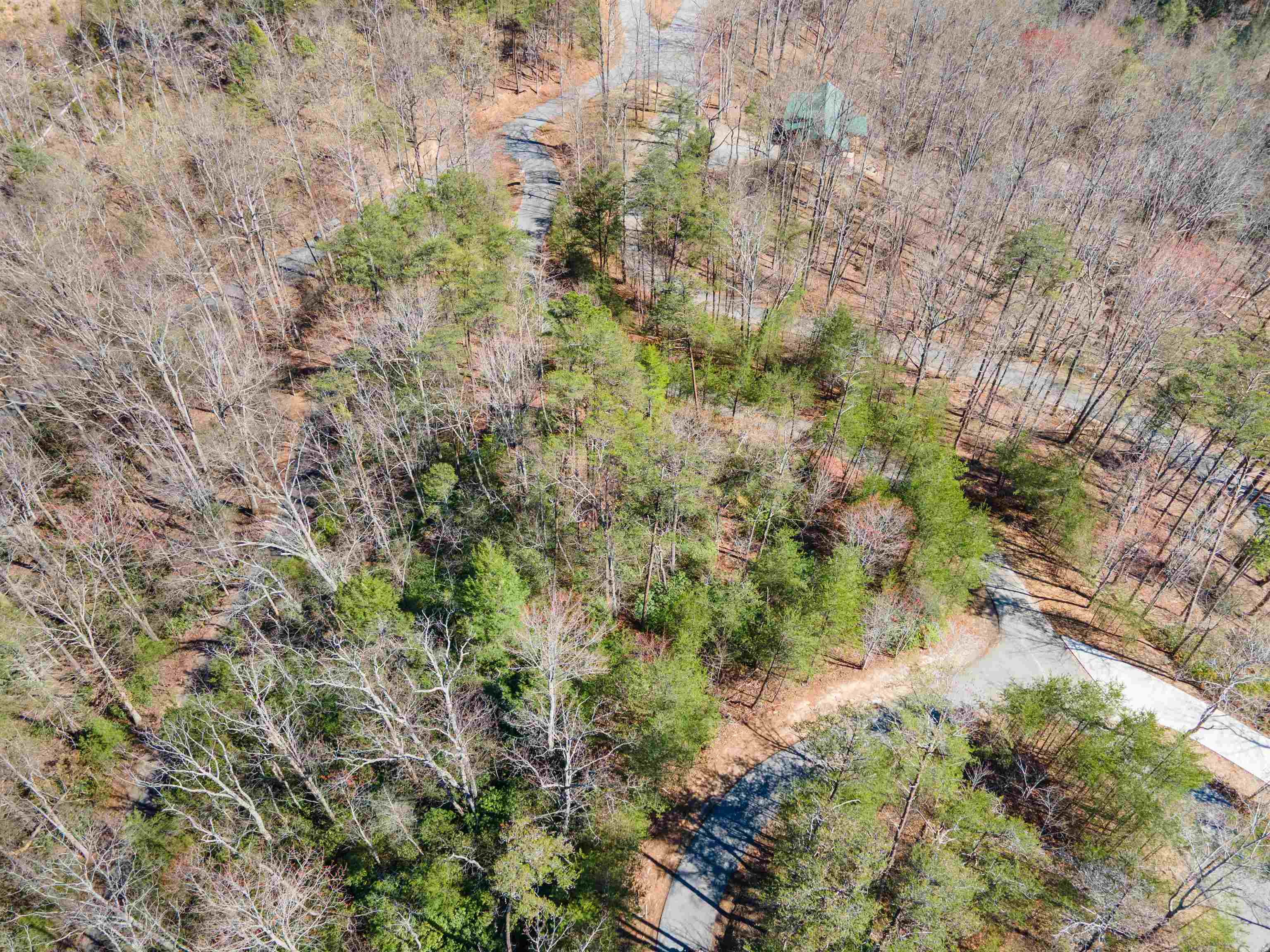 126 Kellerman Point, Lake Lure, North Carolina image 2