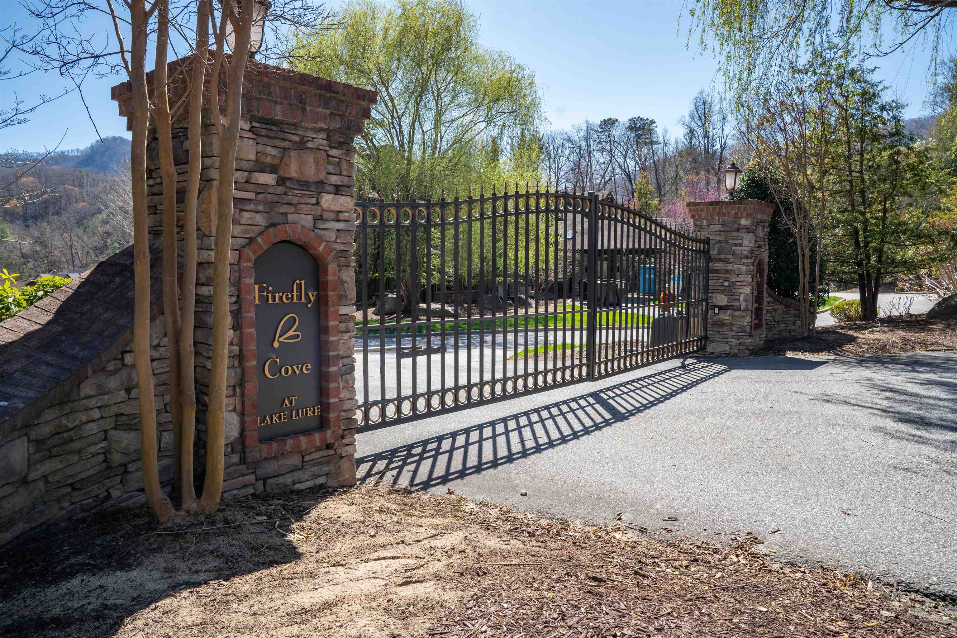 126 Kellerman Point, Lake Lure, North Carolina image 26