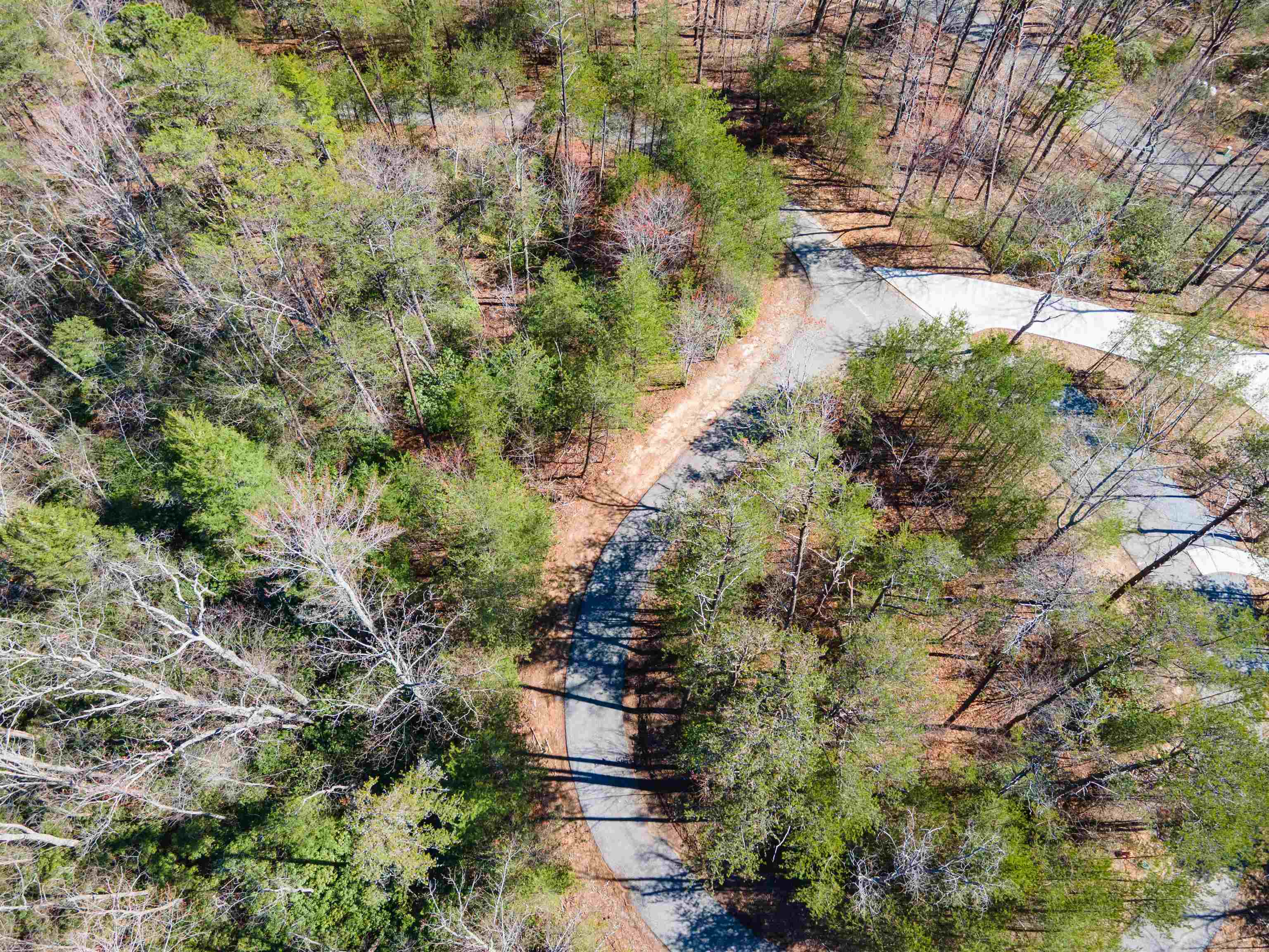126 Kellerman Point, Lake Lure, North Carolina image 50
