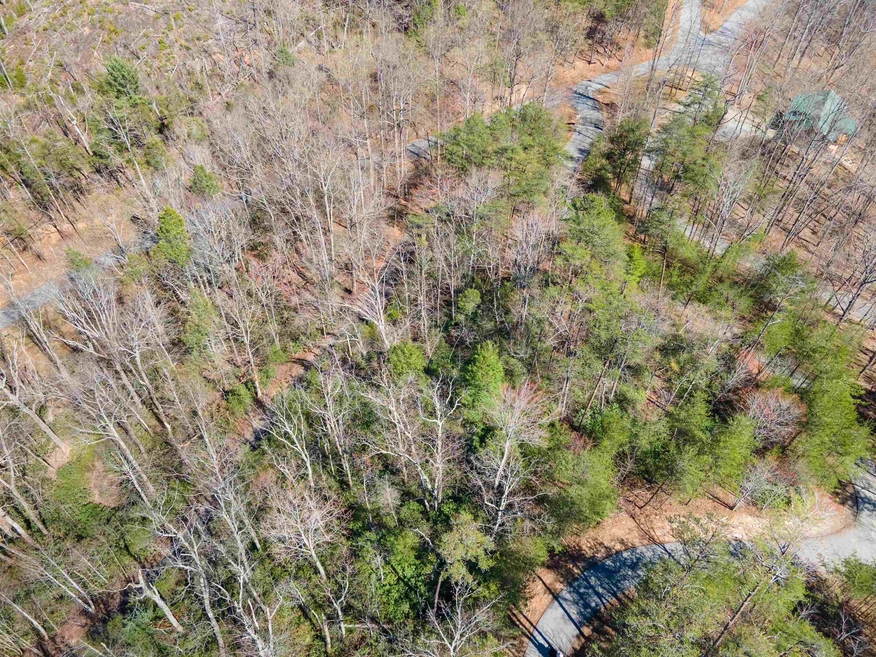 126 Kellerman Point, Lake Lure, North Carolina image 4