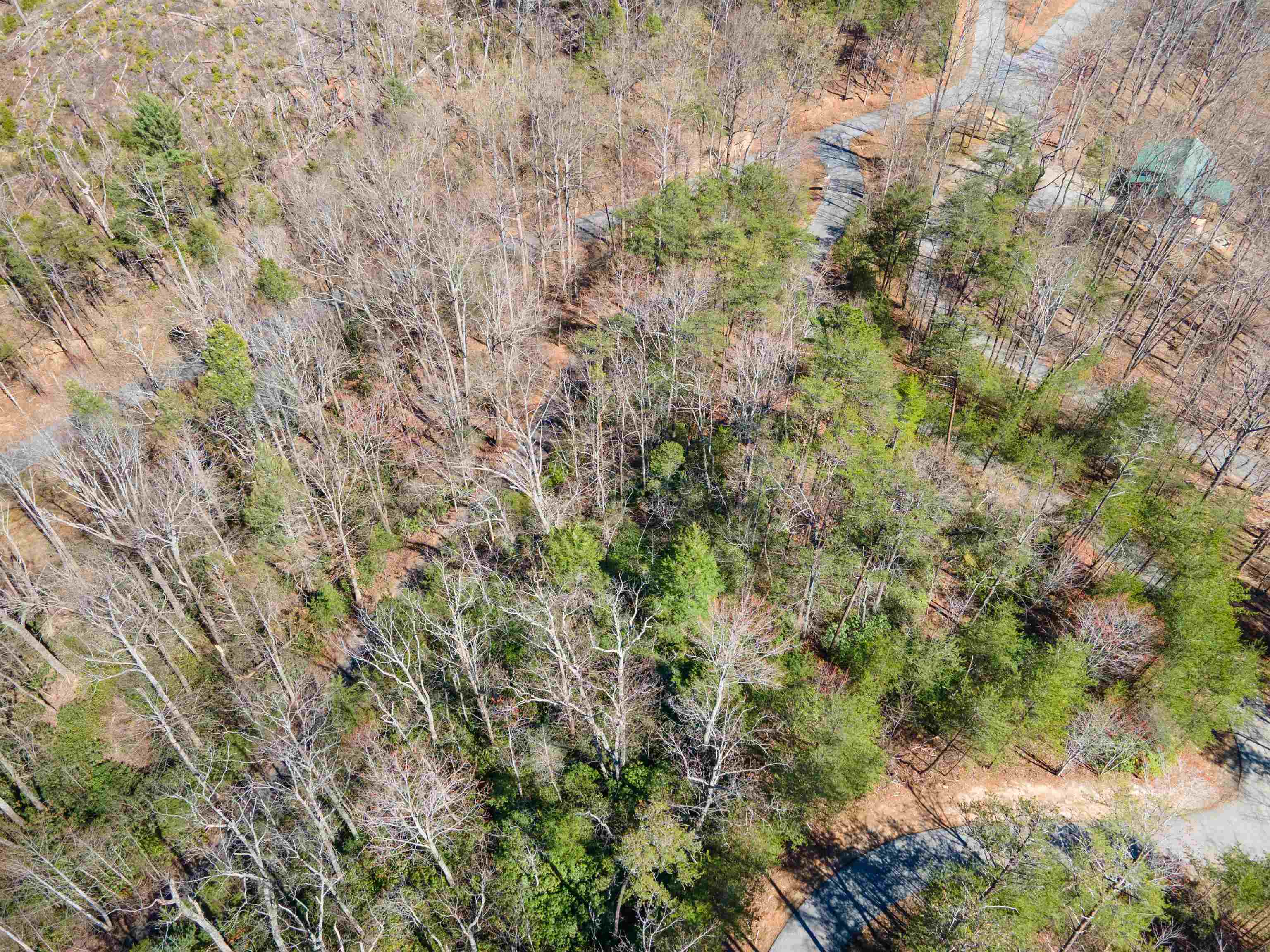 126 Kellerman Point, Lake Lure, North Carolina image 3