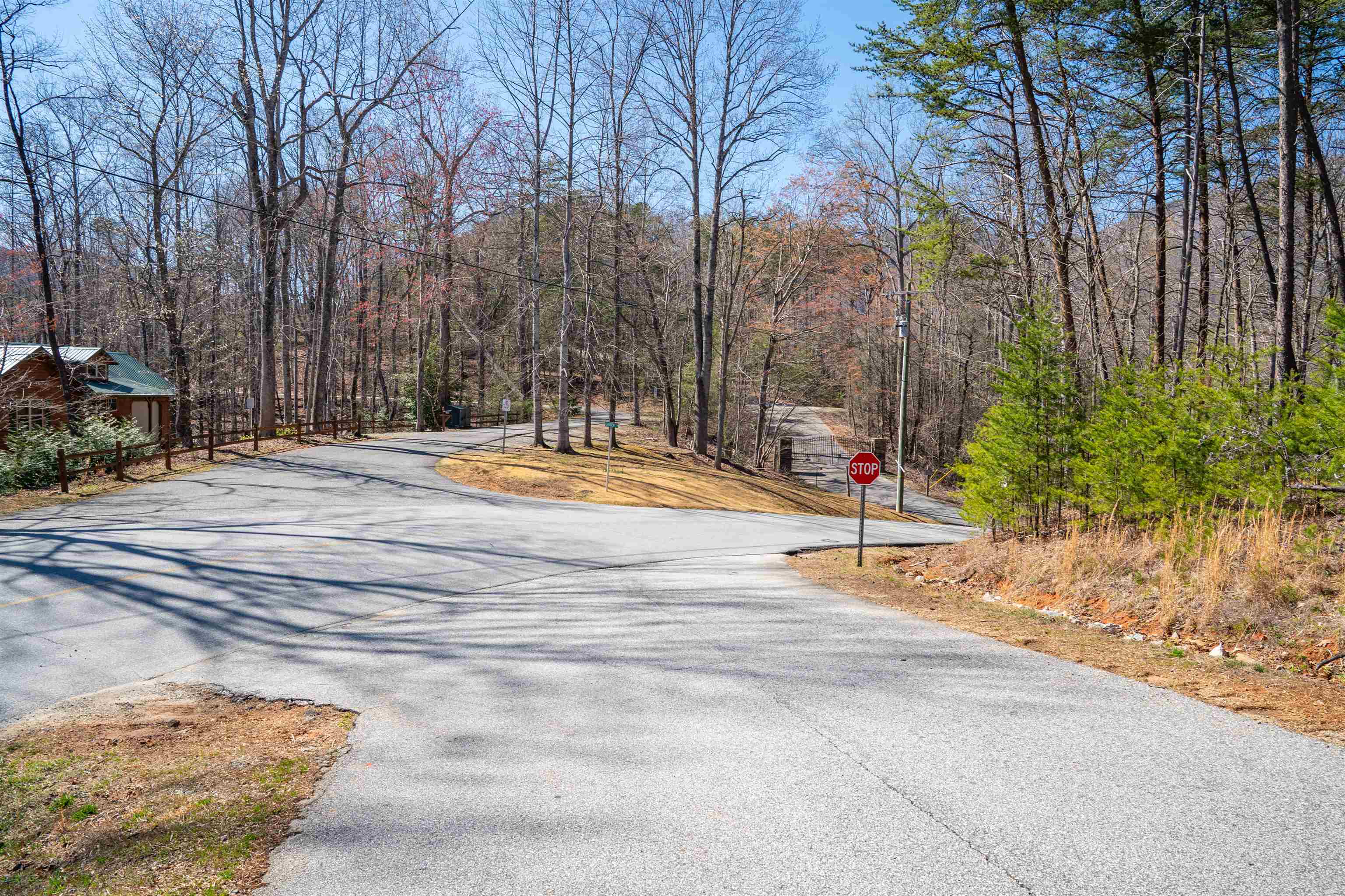 126 Kellerman Point, Lake Lure, North Carolina image 30
