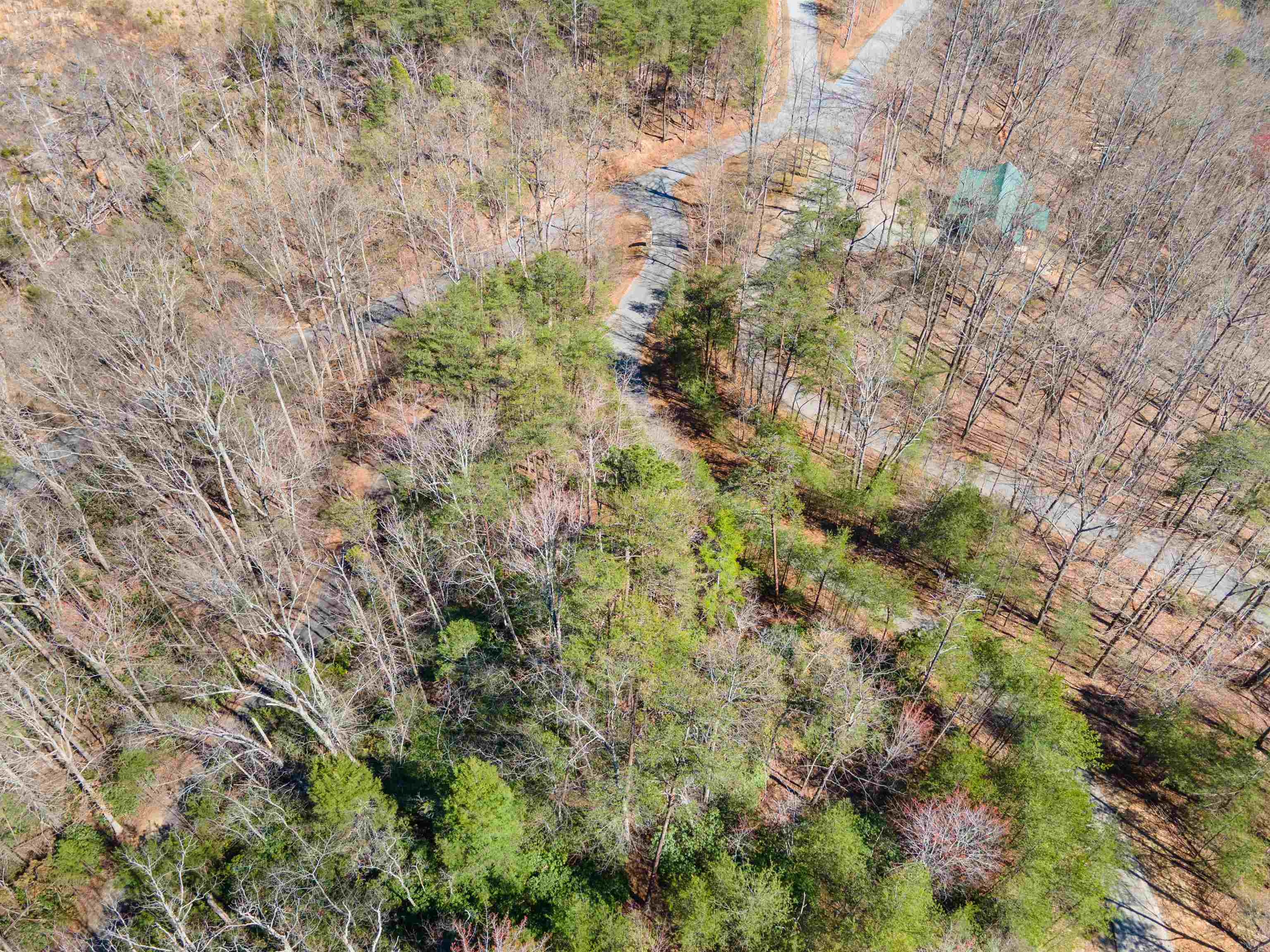 126 Kellerman Point, Lake Lure, North Carolina image 5