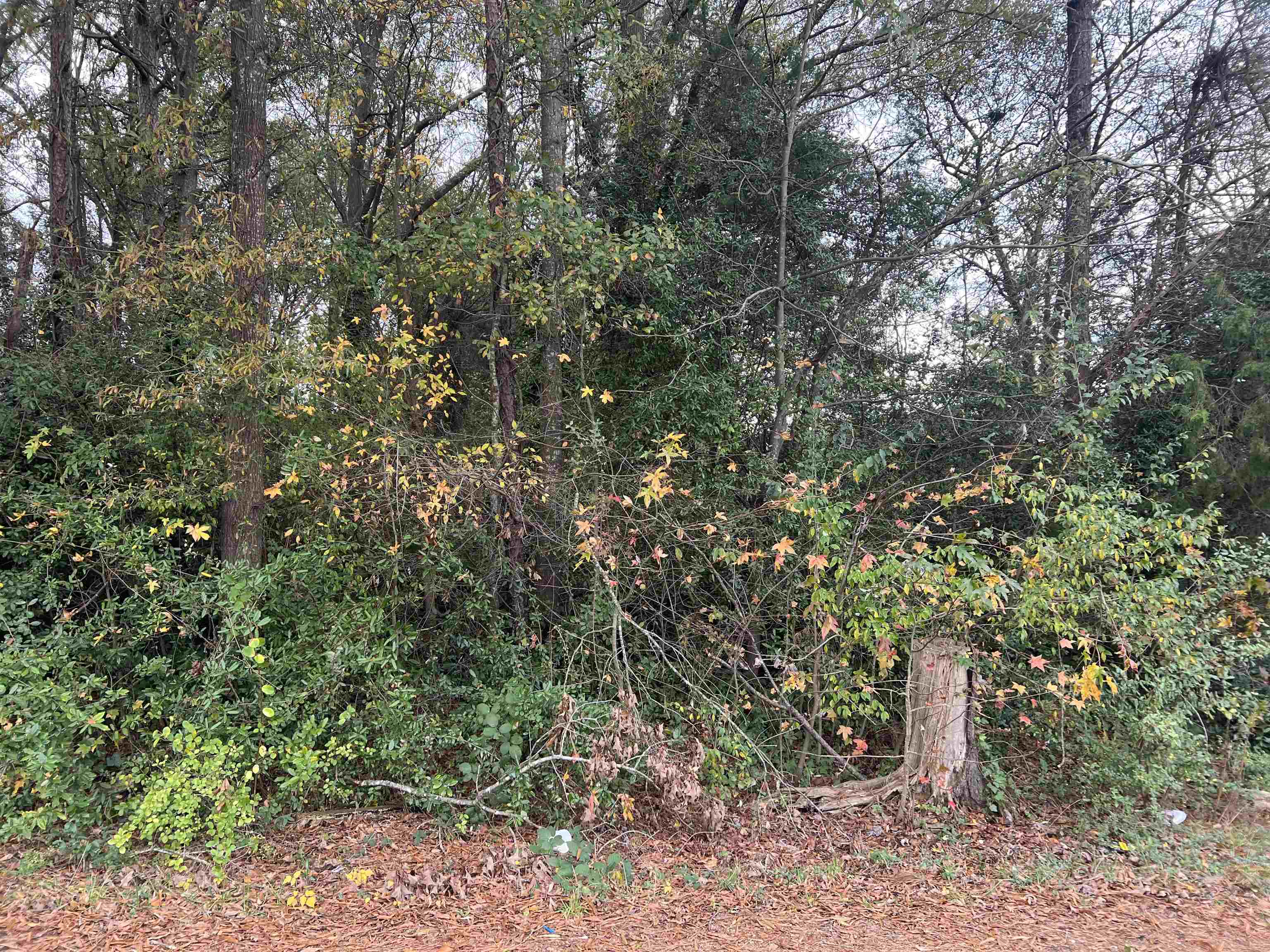 00 Anderson Dr Extension, Spartanburg, South Carolina image 1
