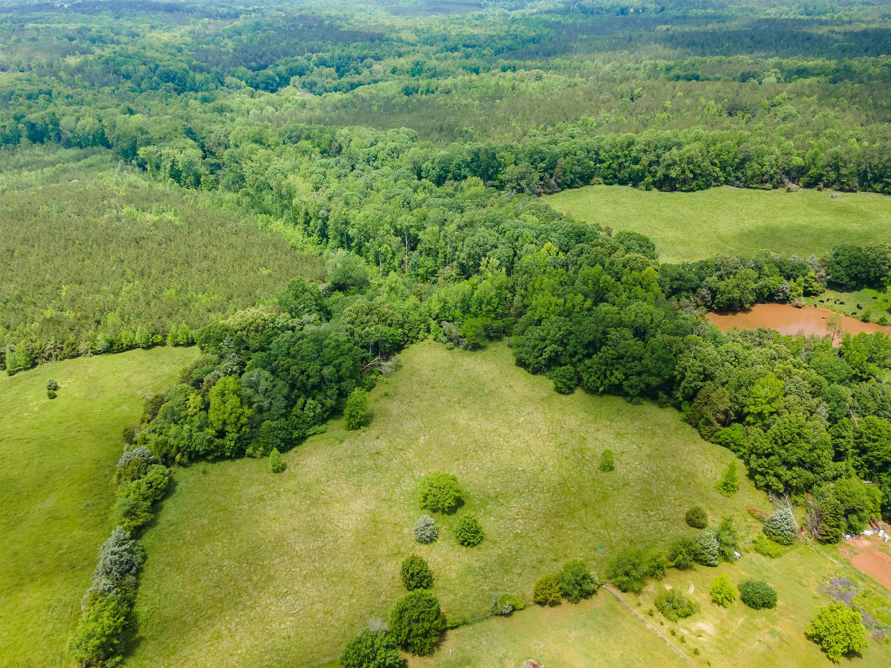 470 New Hope Church Road, Enoree, South Carolina image 29