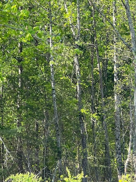 Vacant Land For Sale - 00 Woodfin Road<br/> Inman, SC 29349
