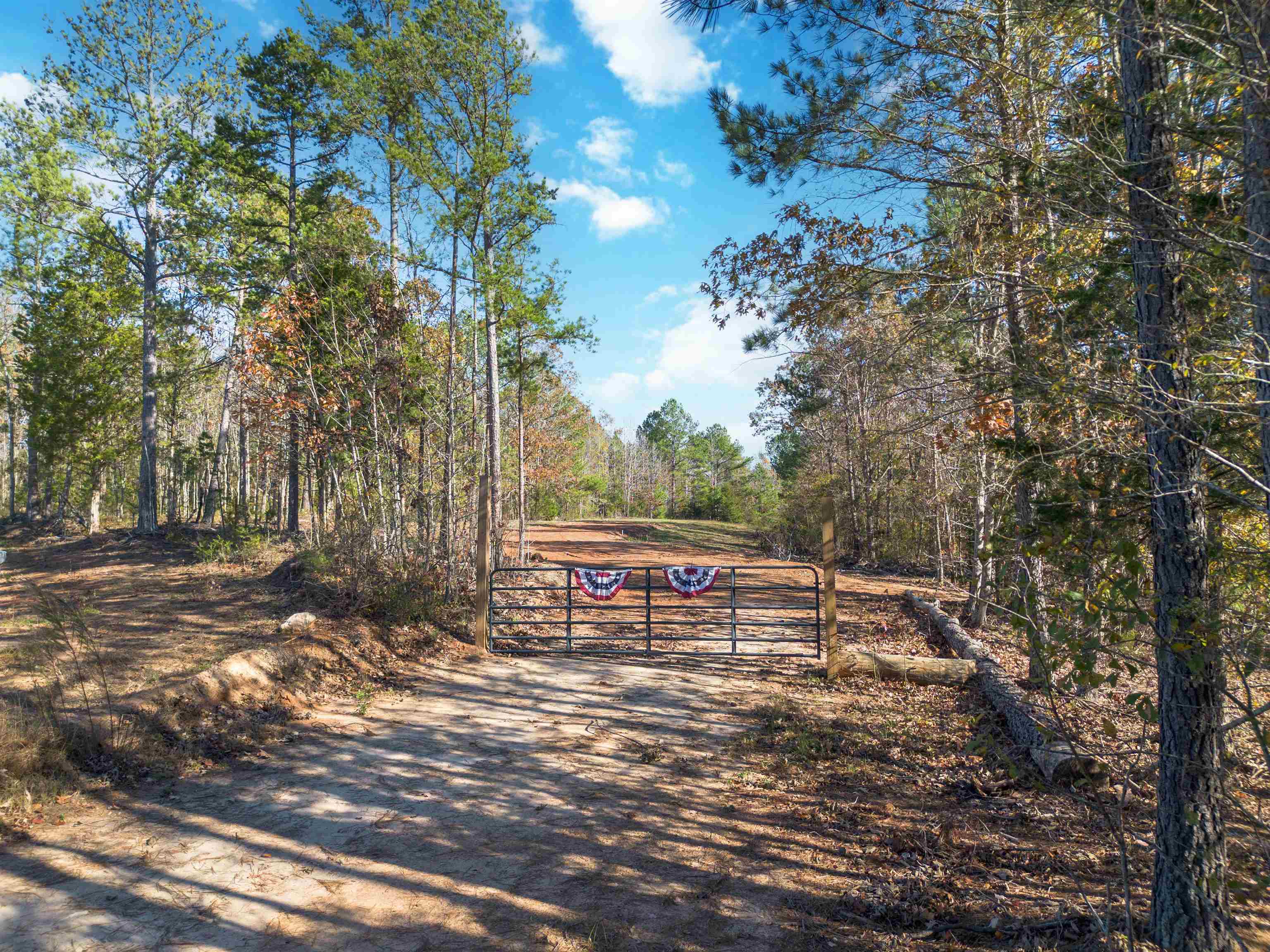 8072 Riverfork Road, Waterloo, South Carolina image 3