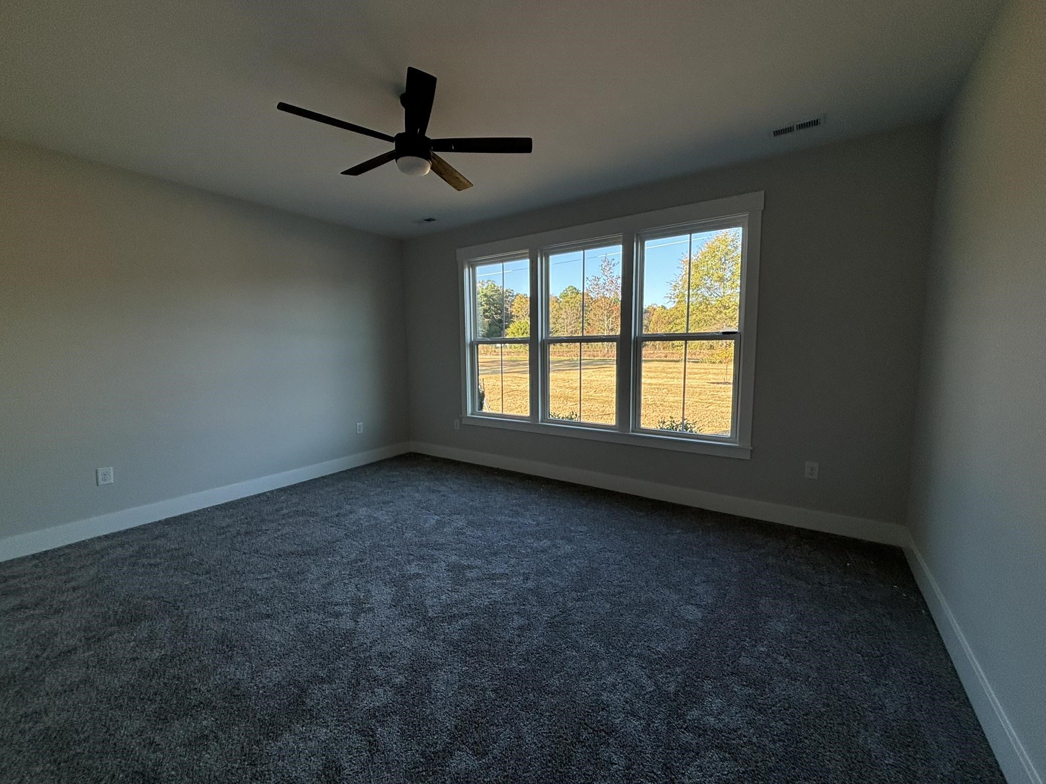 1155 Goodjoin Road, Campobello, South Carolina image 24