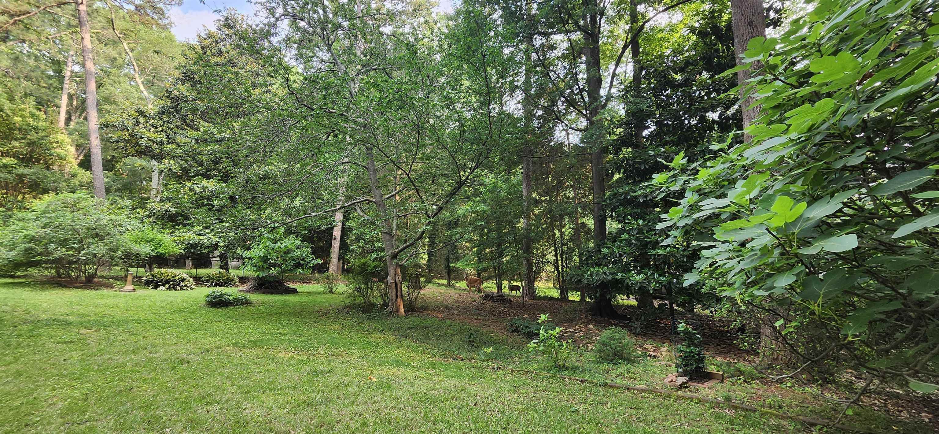 192 Wellesley Drive, Spartanburg, South Carolina image 46