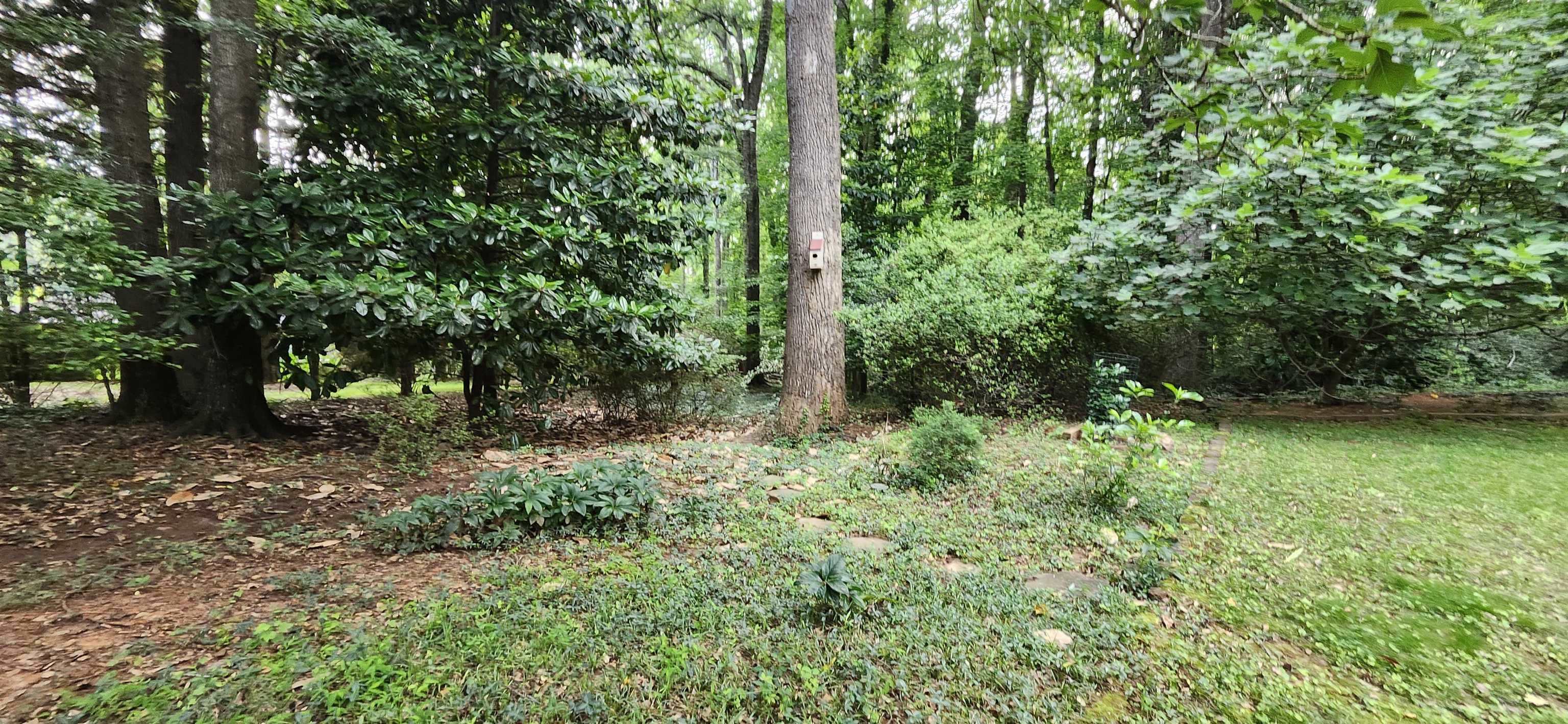 192 Wellesley Drive, Spartanburg, South Carolina image 44