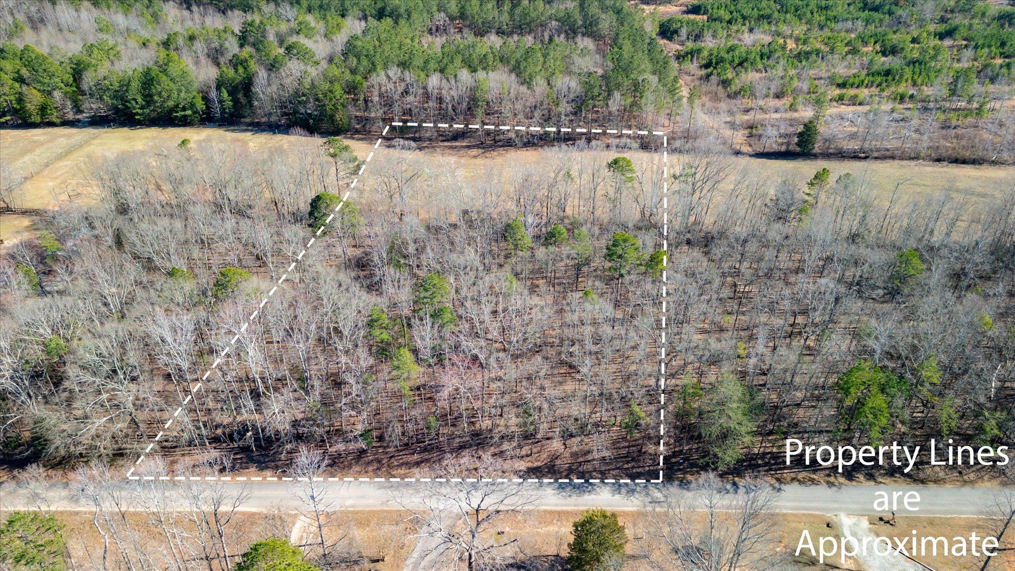 Lot 1 Broken Arrow Drive, Pelzer, South Carolina image 2