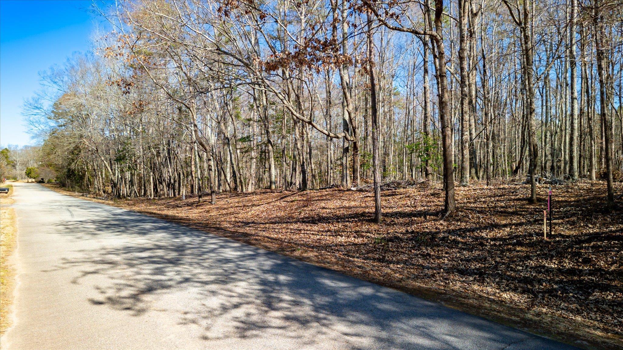 Lot 1 Broken Arrow Drive, Pelzer, South Carolina image 4
