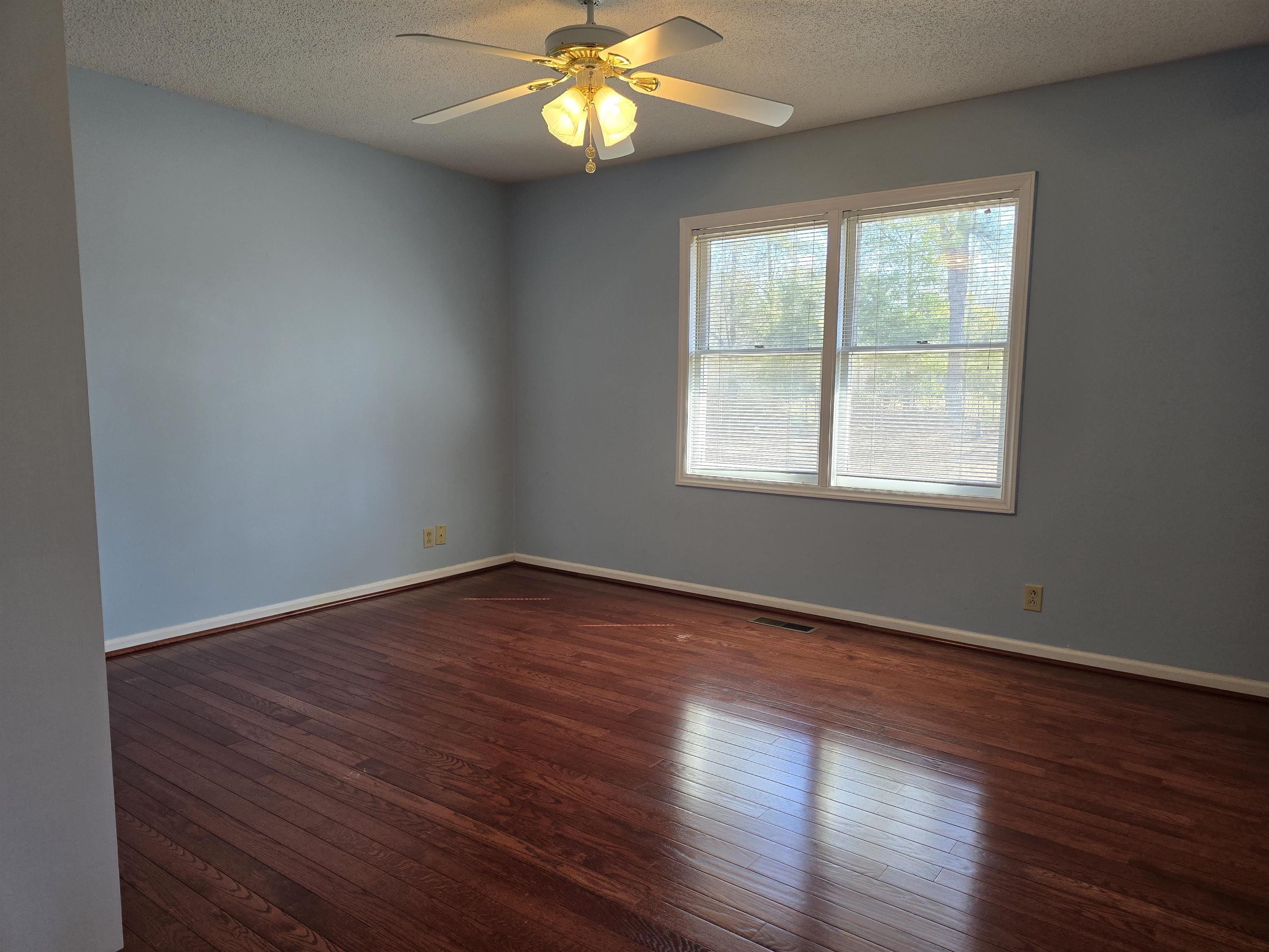 197 Charles Street, Bamberg, South Carolina image 17