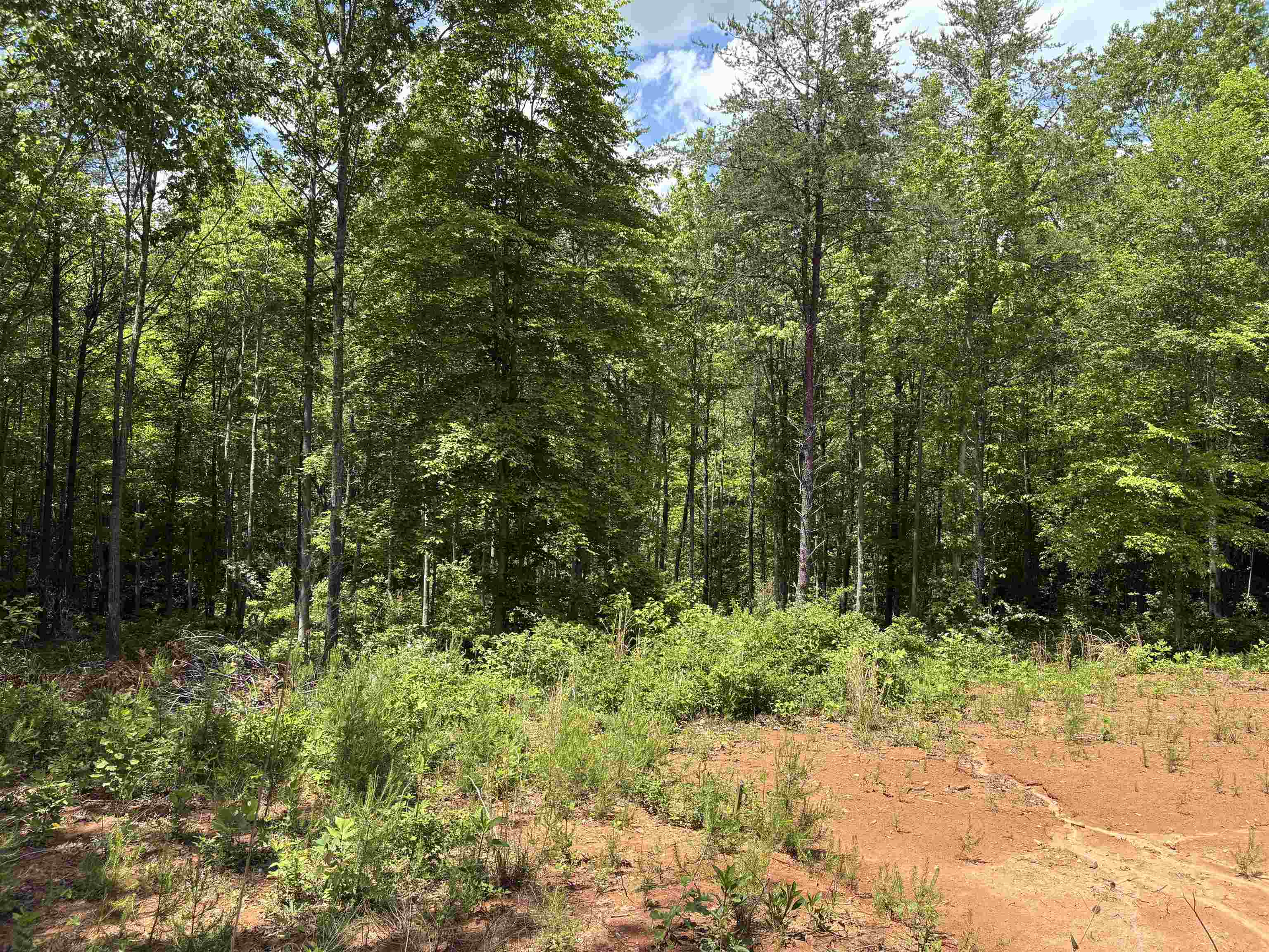 119 Tugaloo Road, Landrum, South Carolina image 7