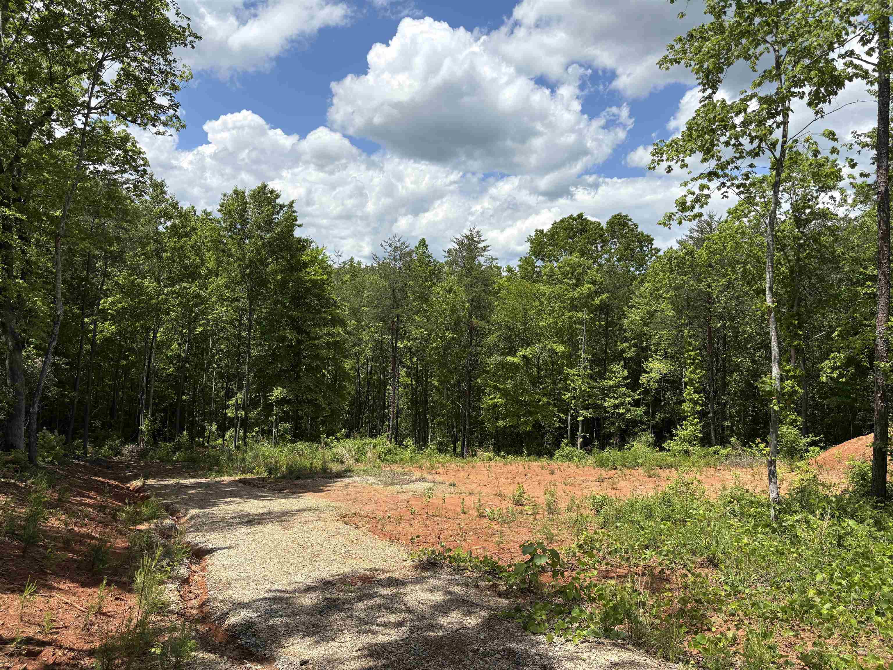 119 Tugaloo Road, Landrum, South Carolina image 5